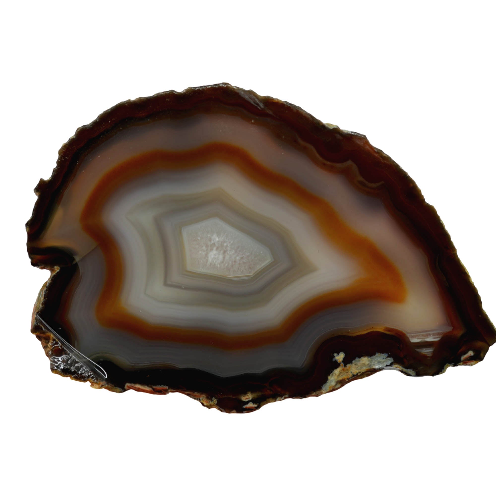 Brazilian Agate Slab – Classic Fortification Banding Vibrant Pattern #3909-Photo1