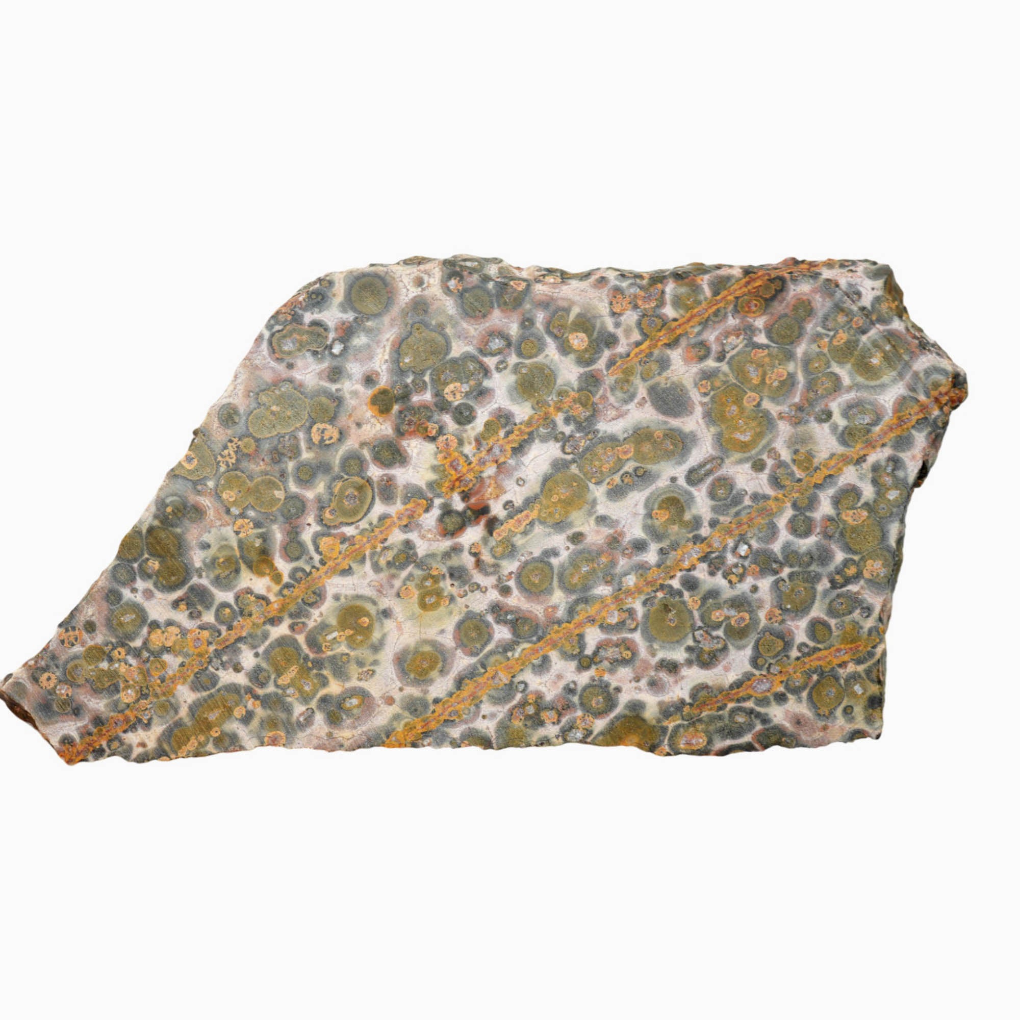 Leopard Skin Rhyolite Slab Dry – Natural Imperfections Scarce Material #3911-Photo5