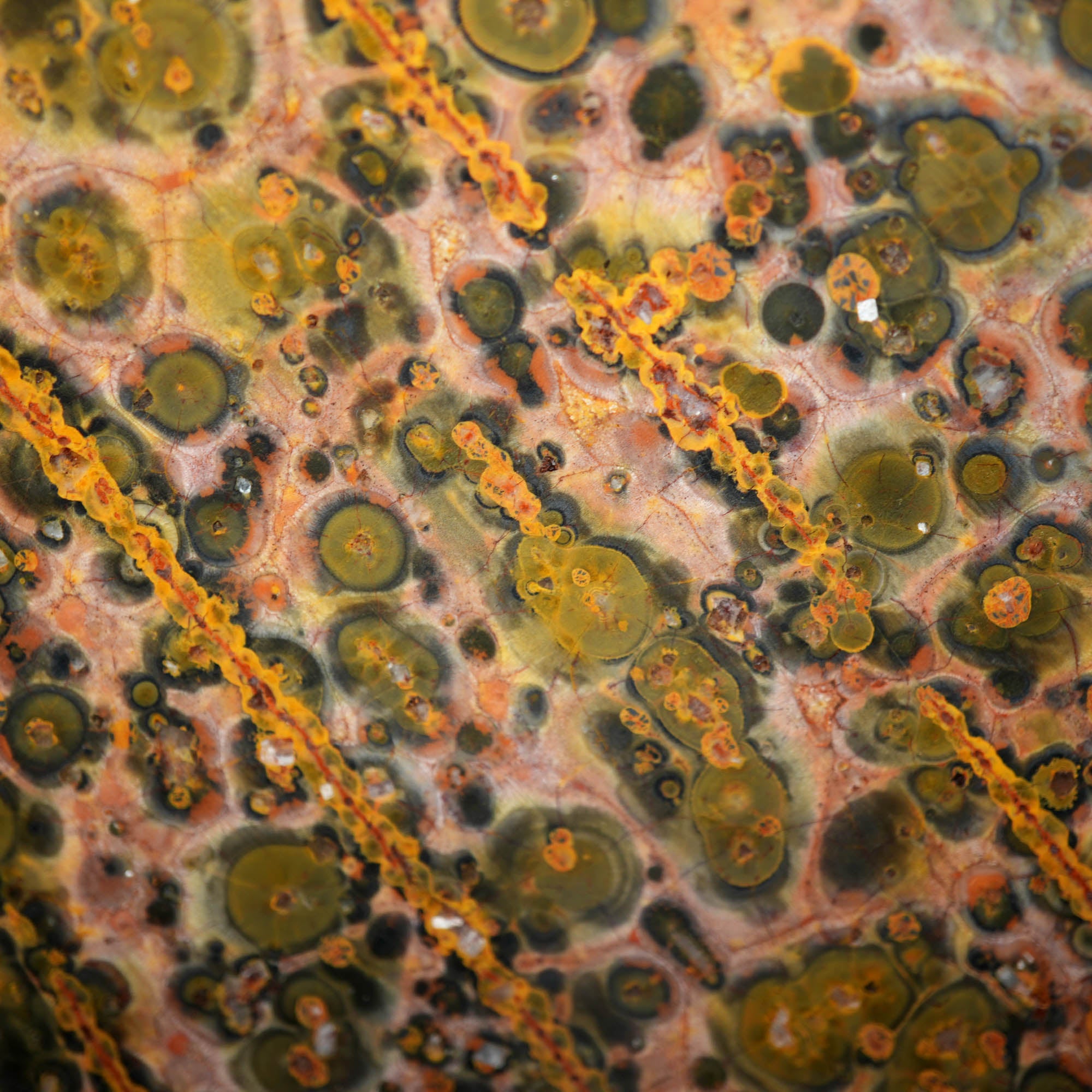 Leopard Skin Rhyolite Slab – Oolitic Orb Structure Spotted Pattern #3911-Photo2