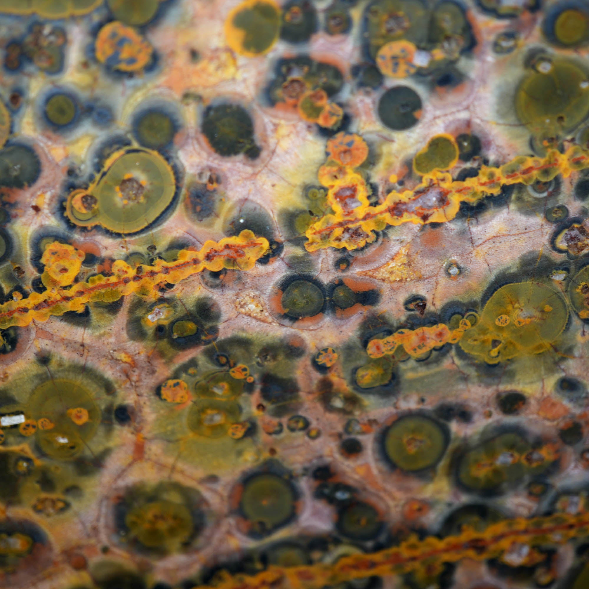 Leopard Skin Rhyolite Slab – Animal Print Aesthetic Cabochon Ready #3911-Photo3
