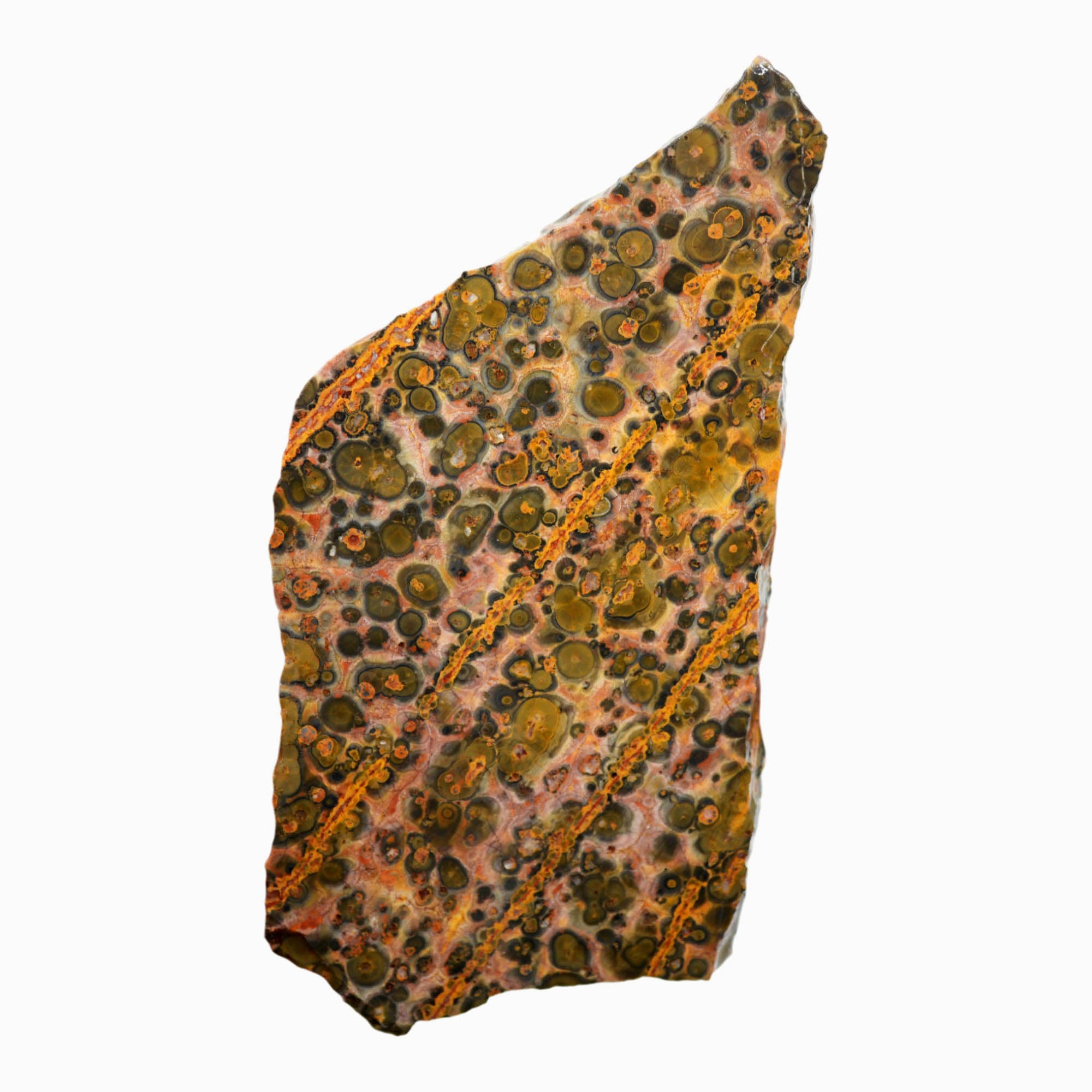 Leopard Skin Rhyolite Slab – Quality Polish Potential Volcanic Formation #3911-Photo4