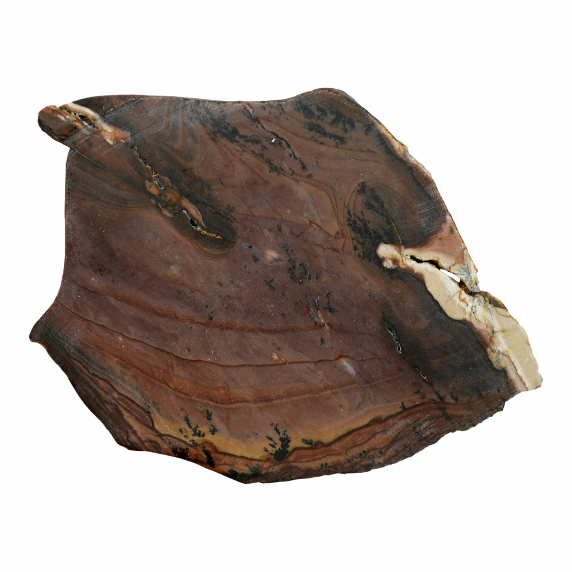 Purple Biggs Picture Jasper Slab Dry – Deep Purple Rolling Hills Dendrites #3912-5