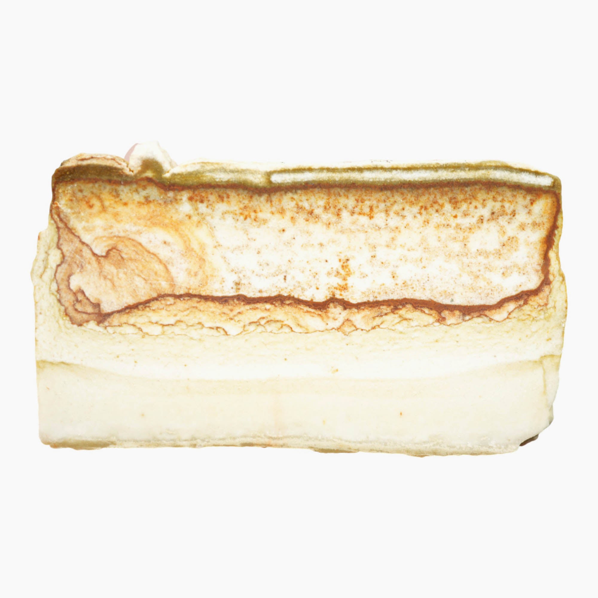 Chicken Track Jasper Slab Dry – Fossil Worm Tunnels Rolling Hills Desert #3914-Photo5