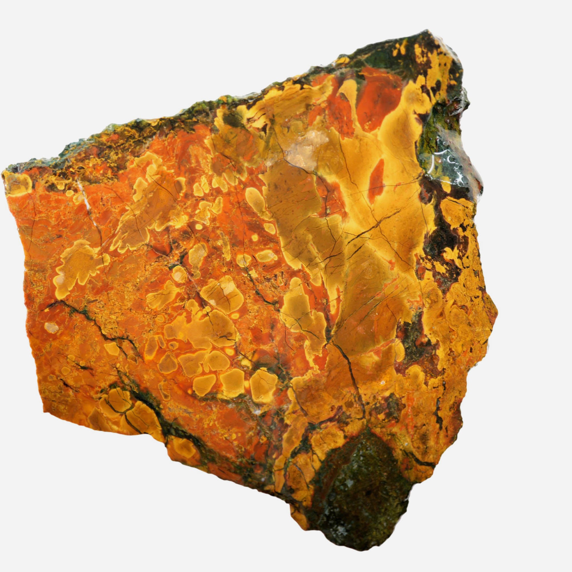 Kaleidoscope Jasper Slab – Floating Orb Deposit Dale Rhode Discovery #3915-Photo4