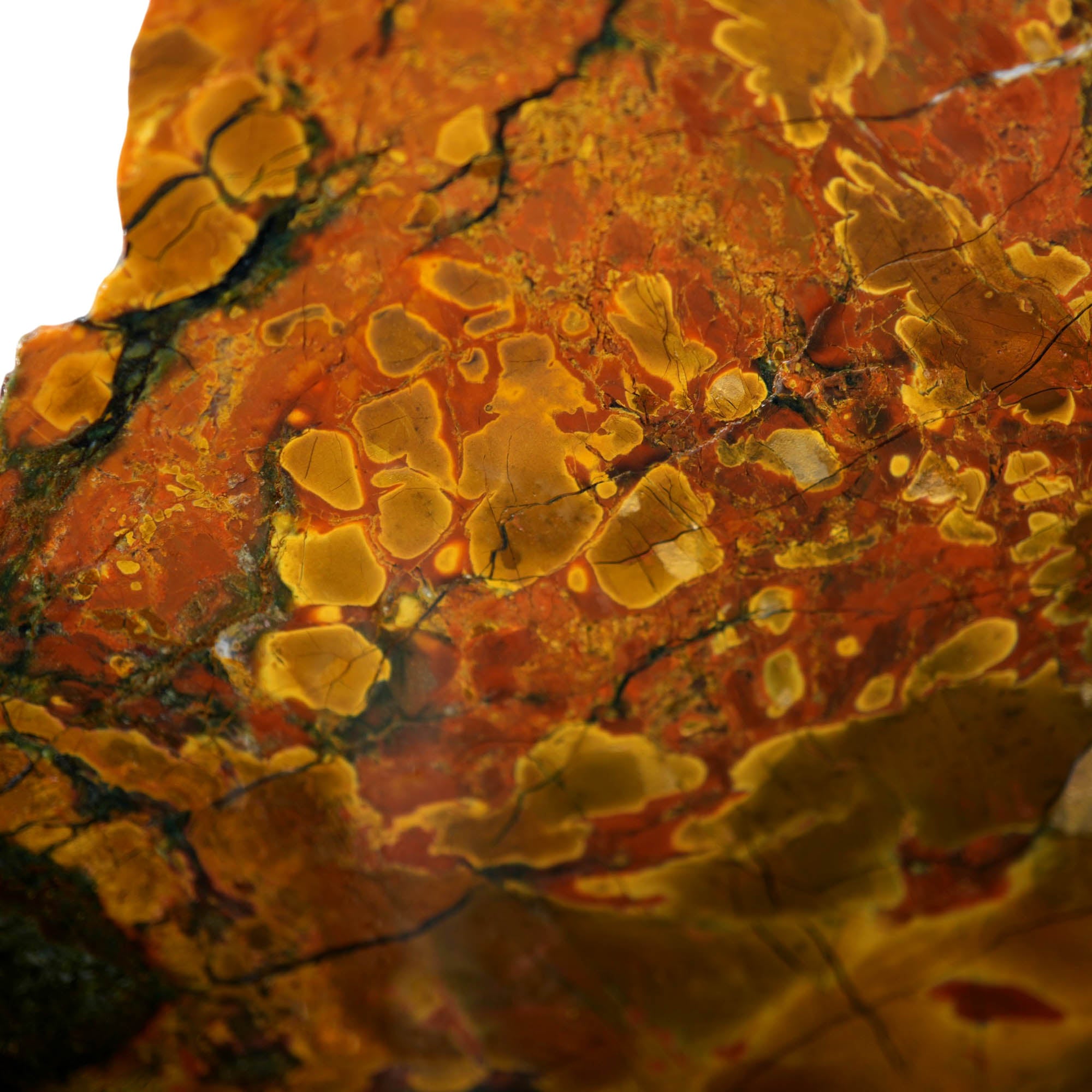 Kaleidoscope Jasper Slab – Floating Orb Deposit Dale Rhode Discovery #3915-Photo5