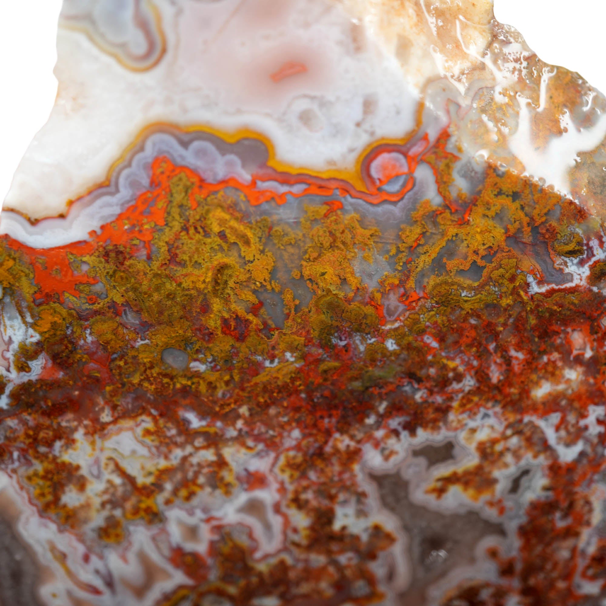 Apple Valley Agate Slab – Multicolor Fortification Tubes Moss #3917-Photo3