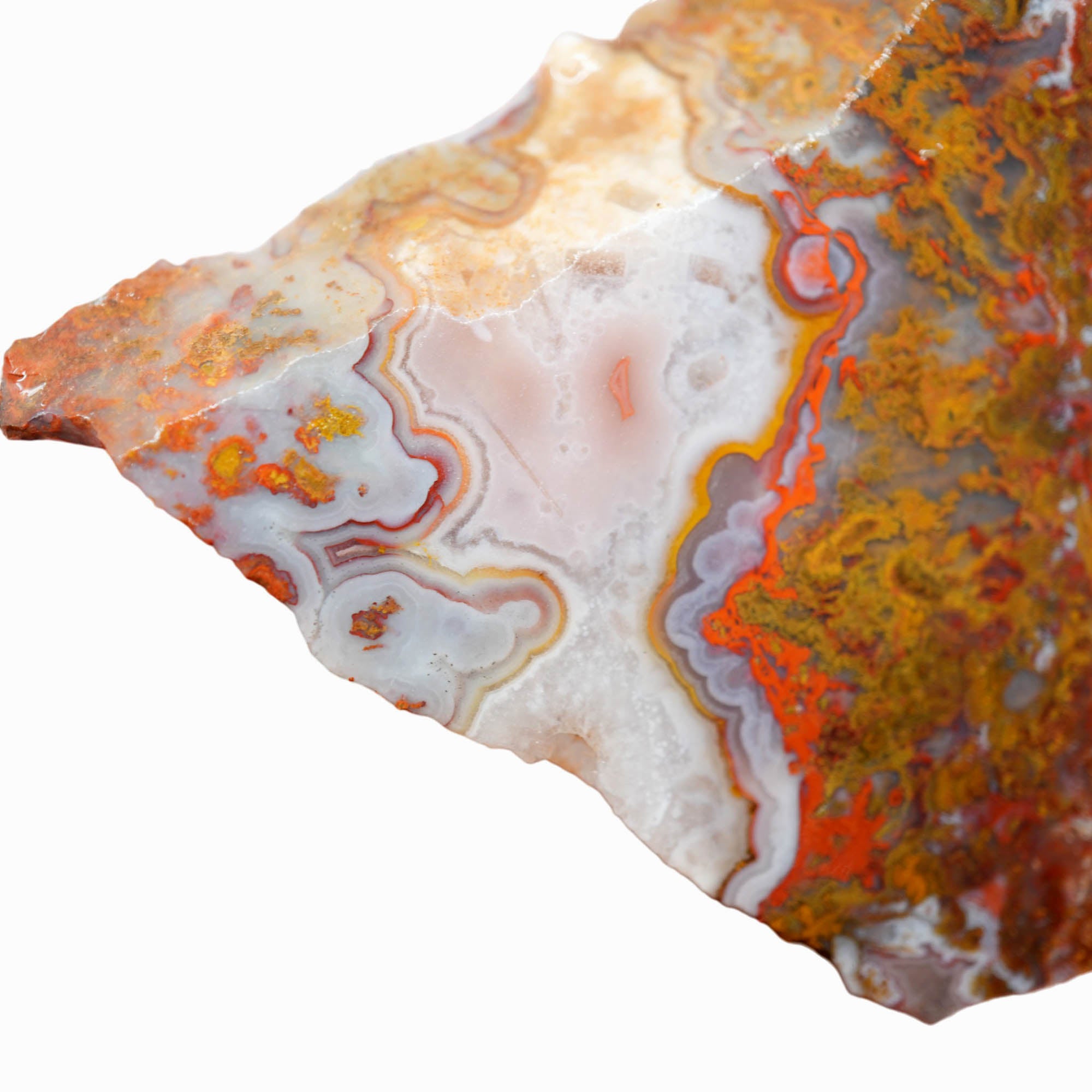 Apple Valley Agate Slab – Multicolor Fortification Tubes Moss #3917-Photo4