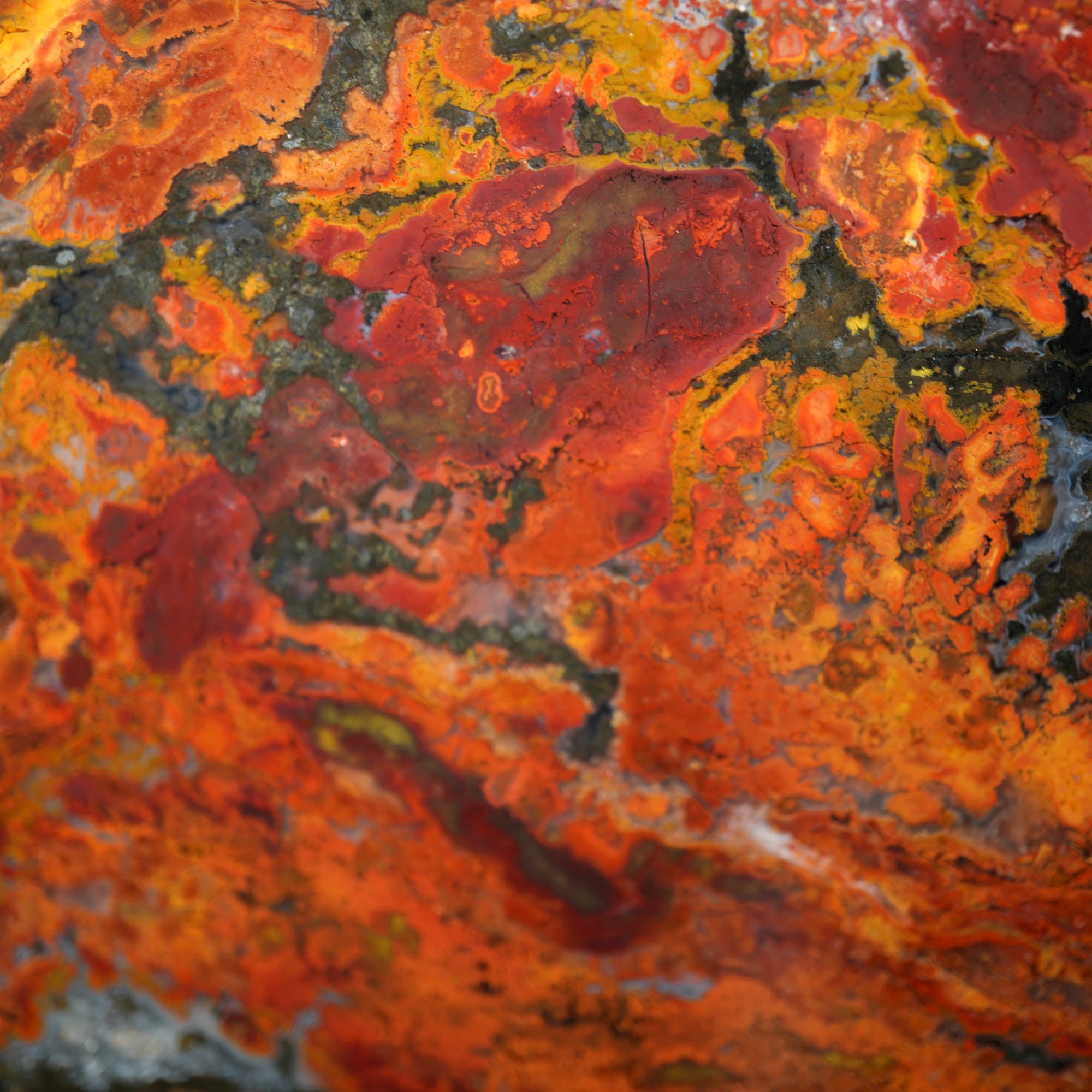 Mystery Jasper Slab - Bright Red Contrast Gorgeous Pattern Nevada #3918-Photo3