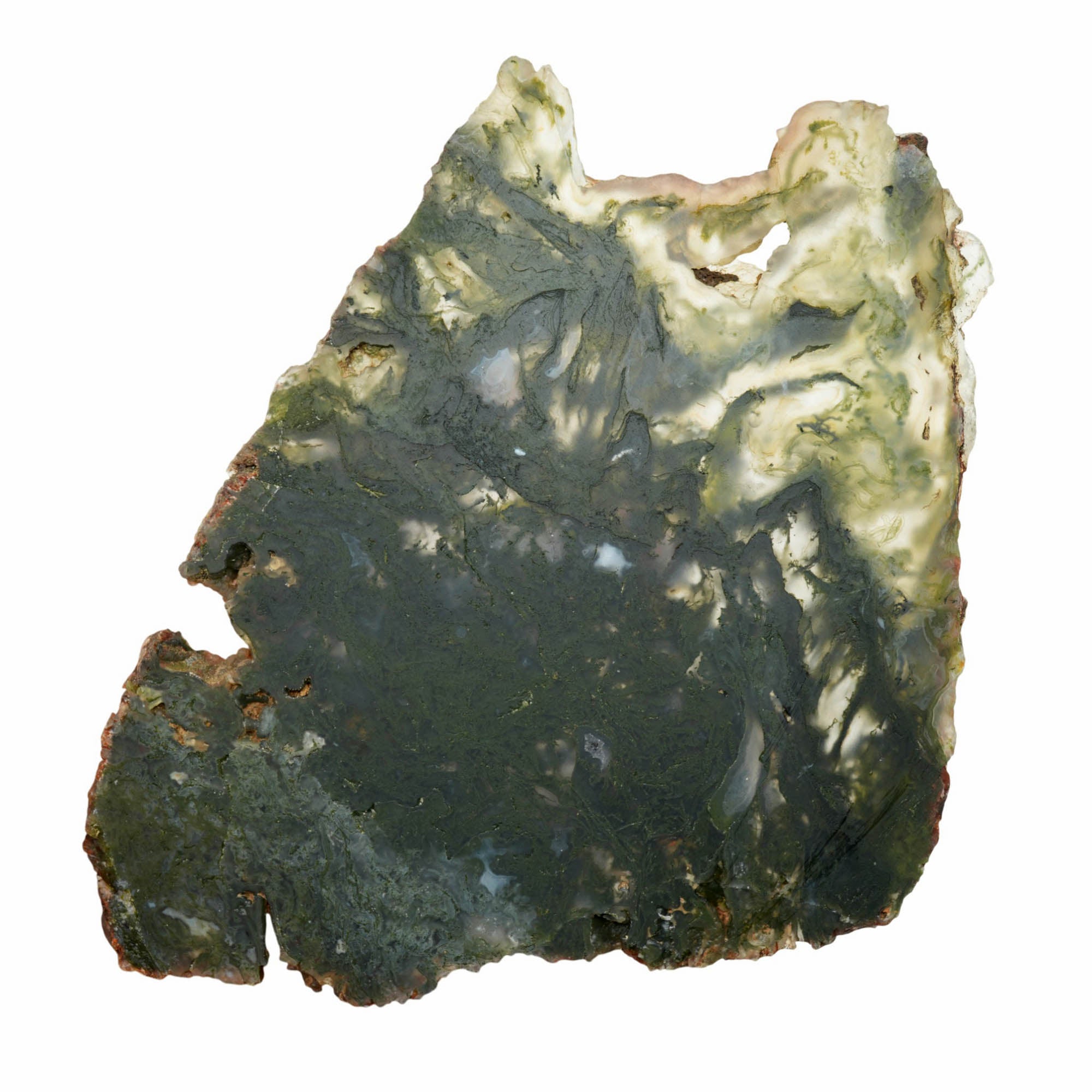 Maury Mountain Moss Agate Slab Dry – Fantastic Green Moss Oregon Classic #3922-Photo7