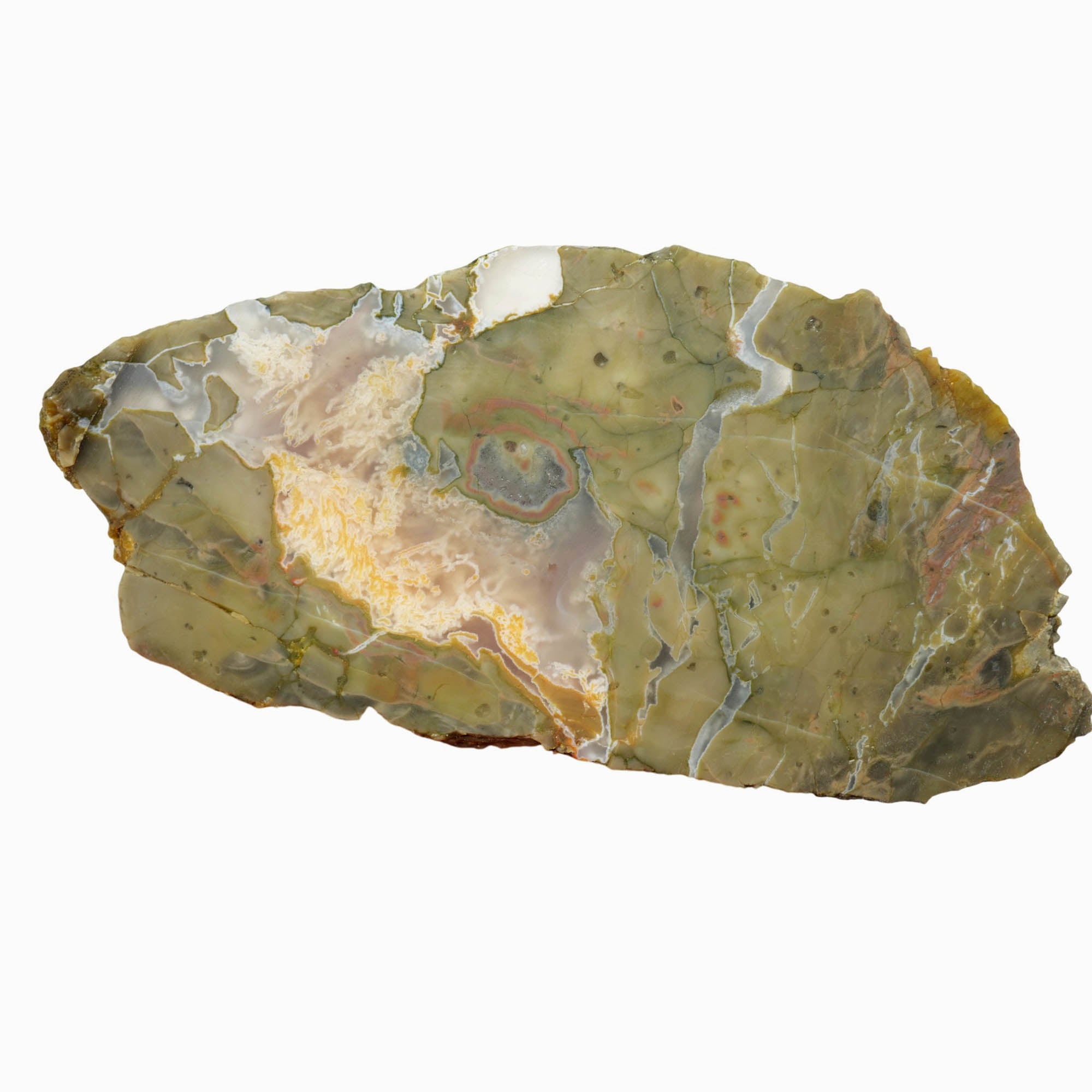 Mystery Thunderegg Slab Dry – Unknown Ochoco Mountains Old Stock! #3924-Photo6