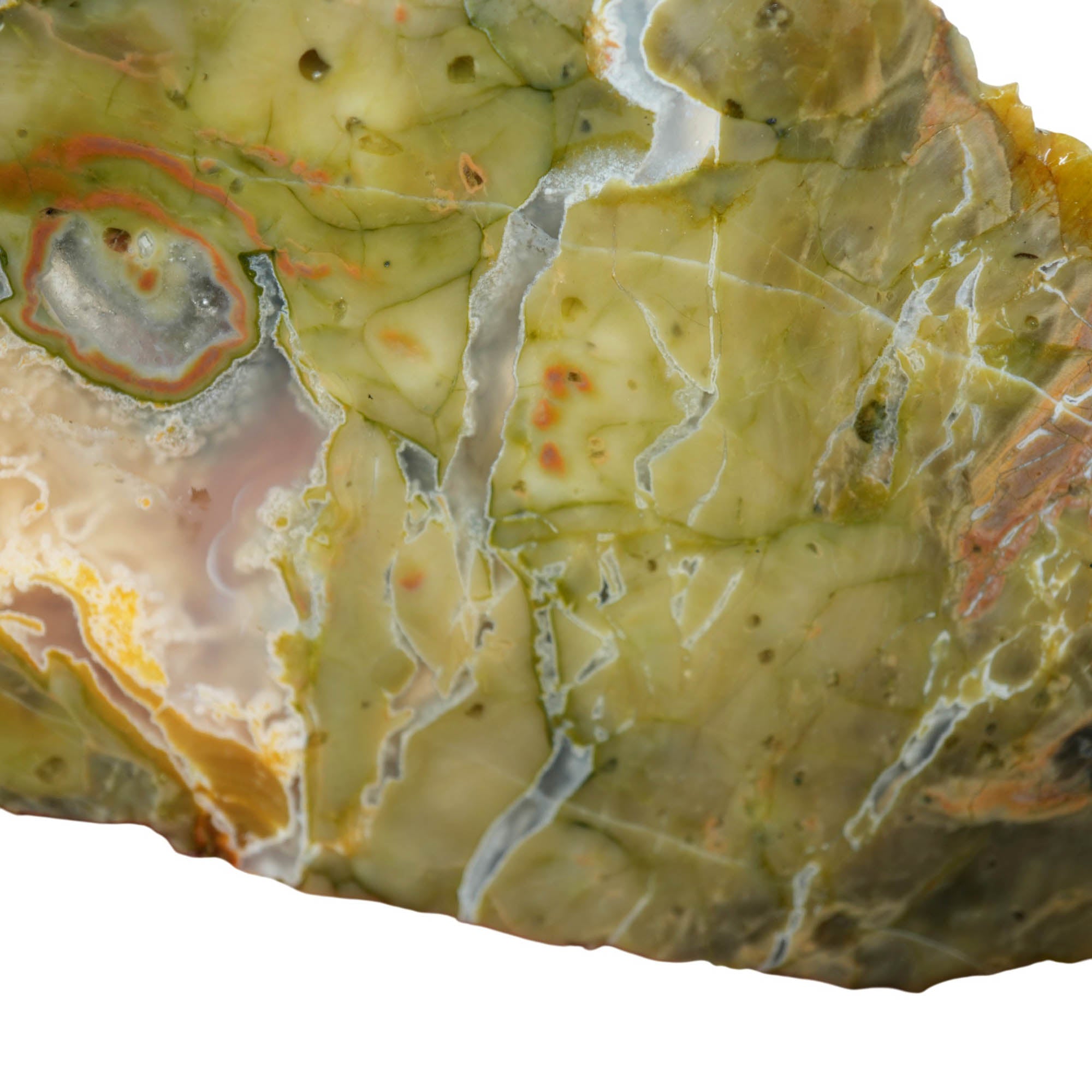 Mystery Thunderegg Slab – Unknown Ochoco Mountains Old Stock! #3924-Photo4