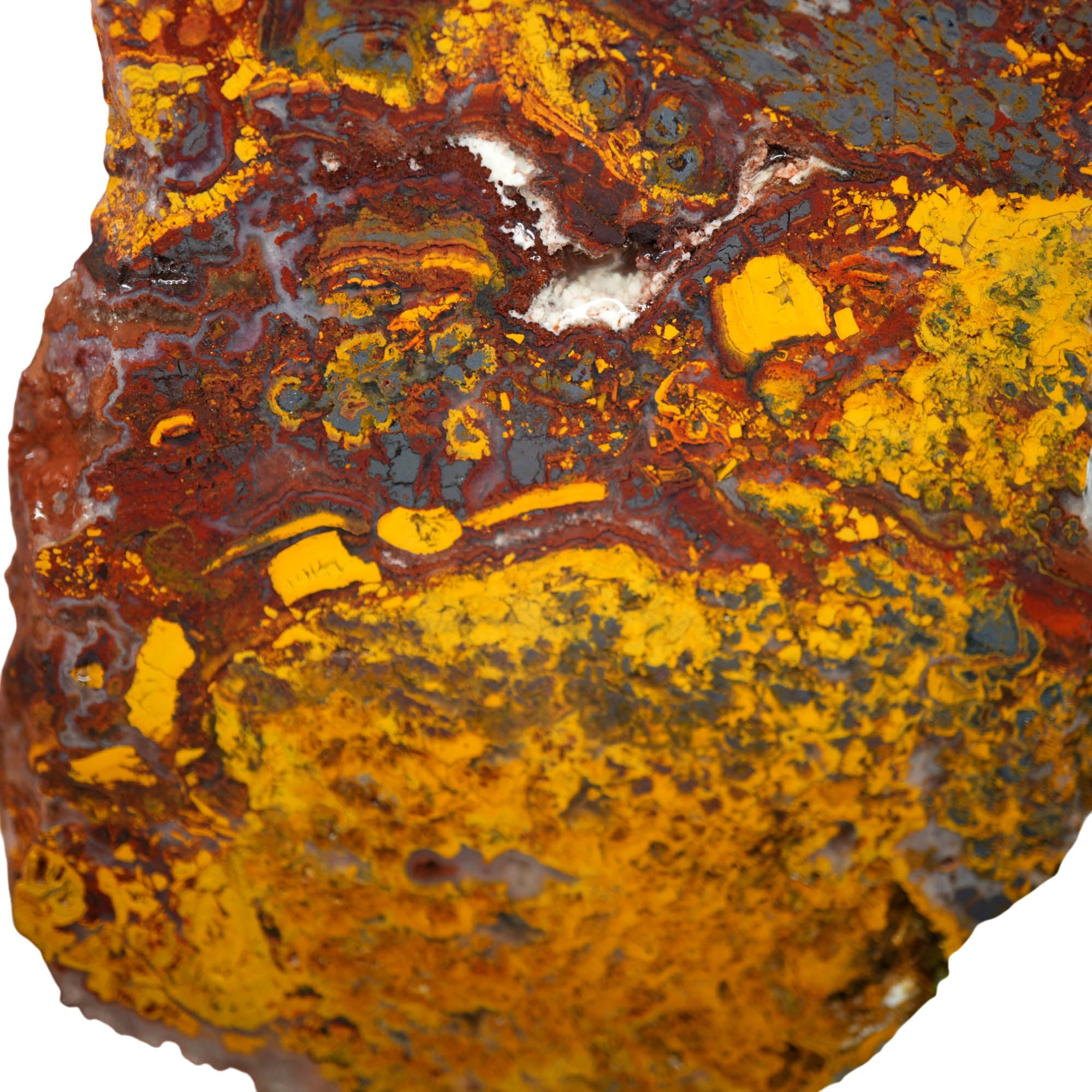 Apple Valley Jasper Slab – Hematite Flowers Broken Pattern Sahara #3925-Photo4