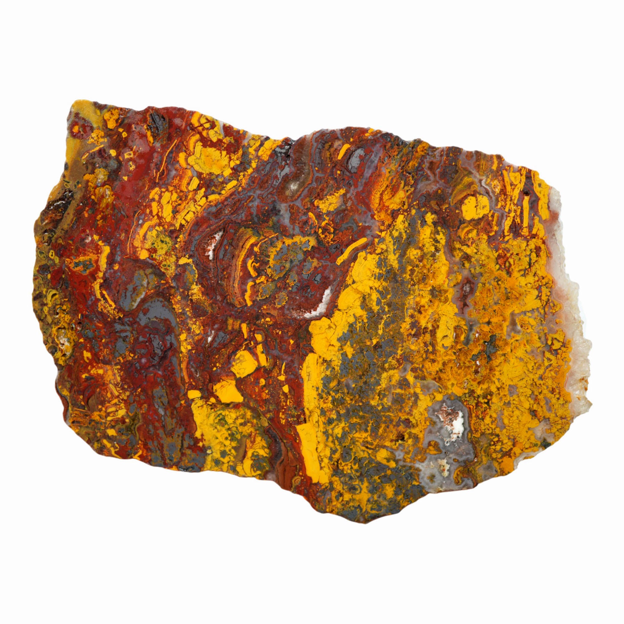 Apple Valley Jasper Slab – Hematite Flowers Broken Pattern Sahara #3925-Photo5