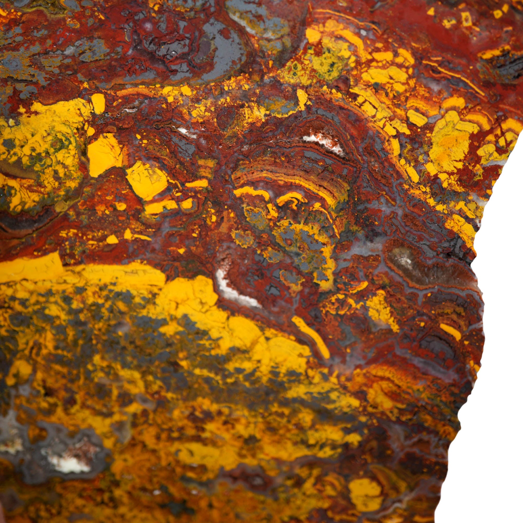 Apple Valley Jasper Slab – Hematite Flowers Broken Pattern Sahara #3925-Photo6