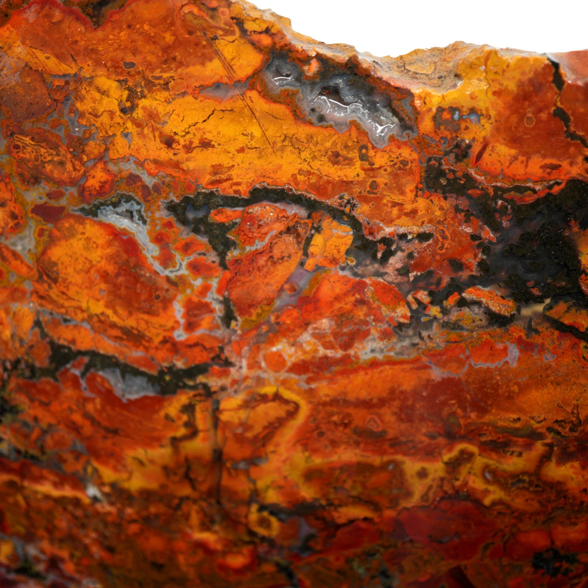 Mystery Jasper Slab - Bright Red Flowing Pattern Nevada #3926-4