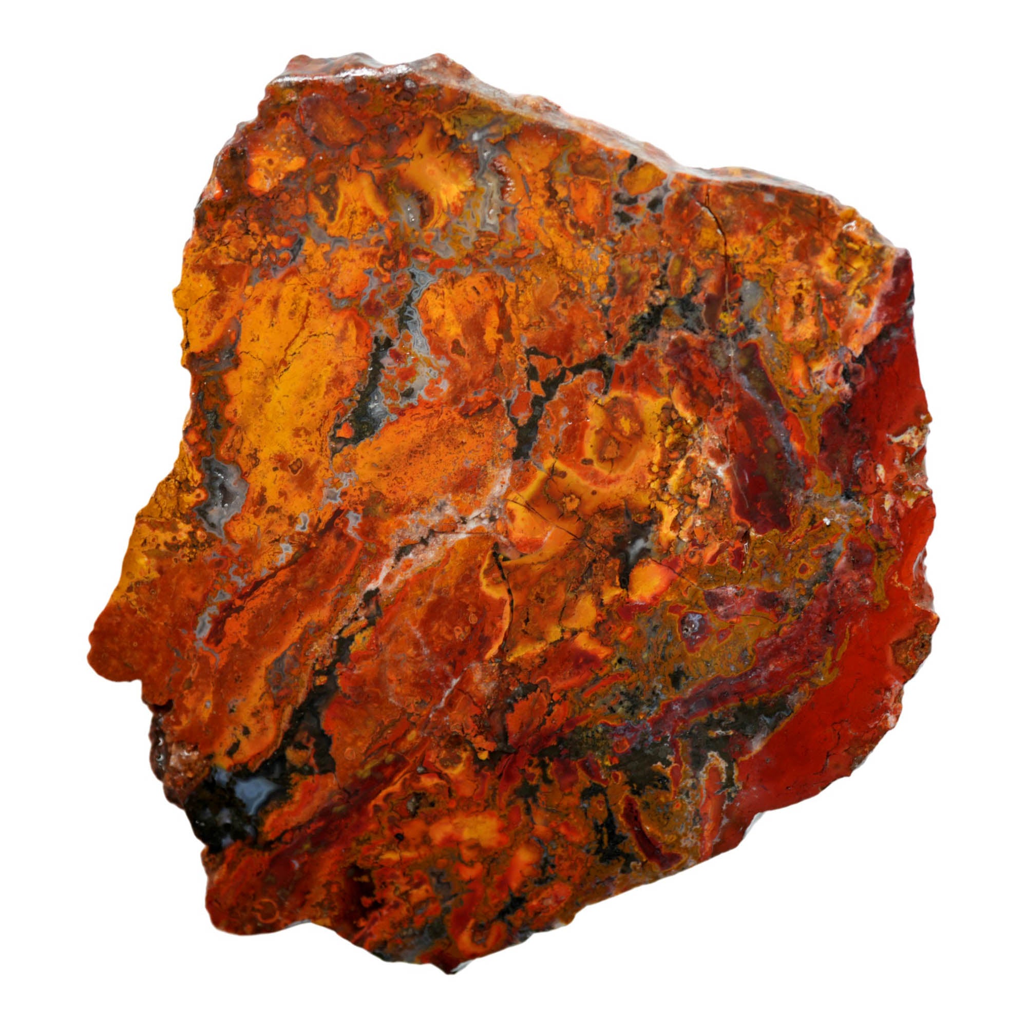 Mystery Jasper Slab - Bright Red Flowing Pattern Nevada #3926-5