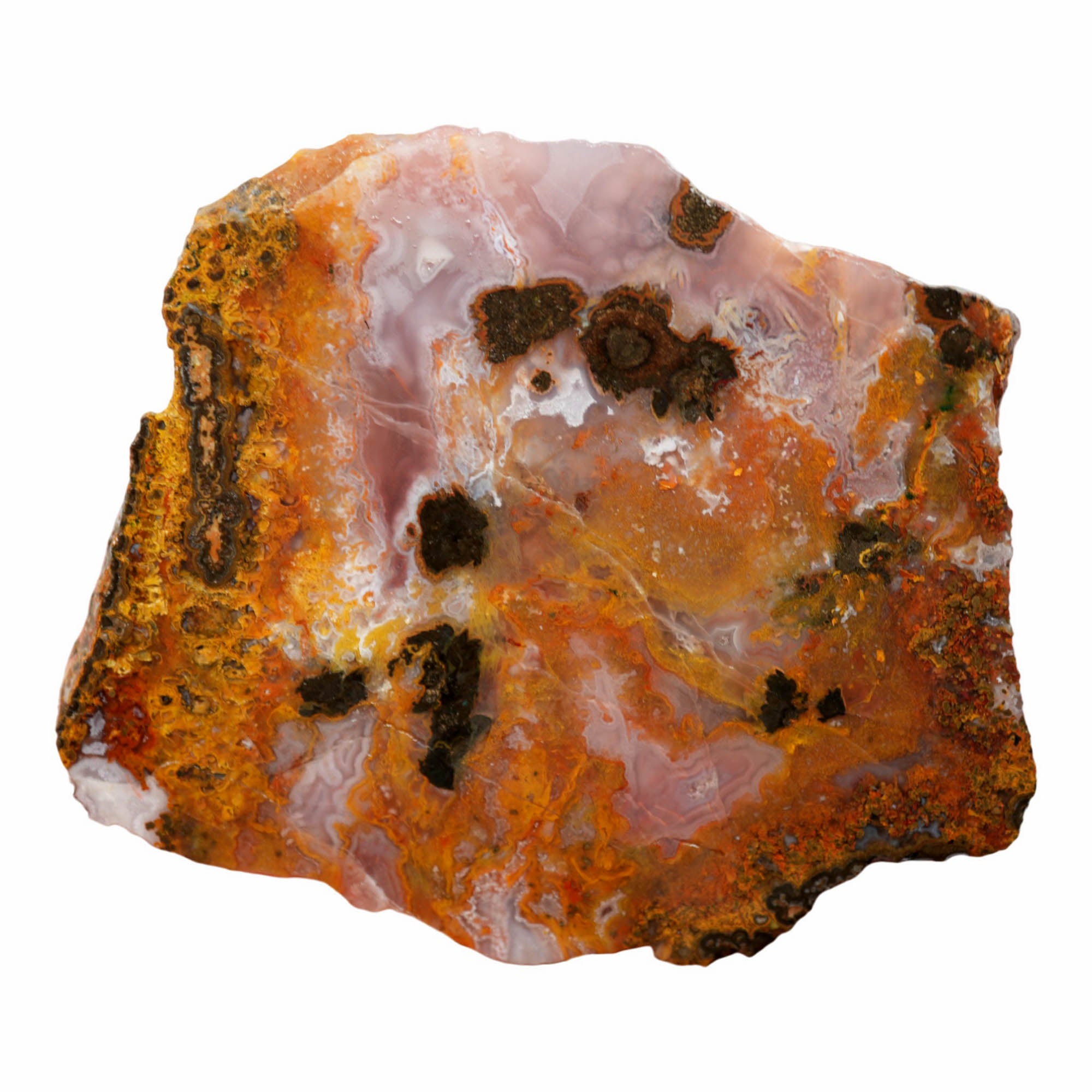 Agua Nueva Agate Slab – Butterscotch Pattern Black Feldspar #3927-Photo5