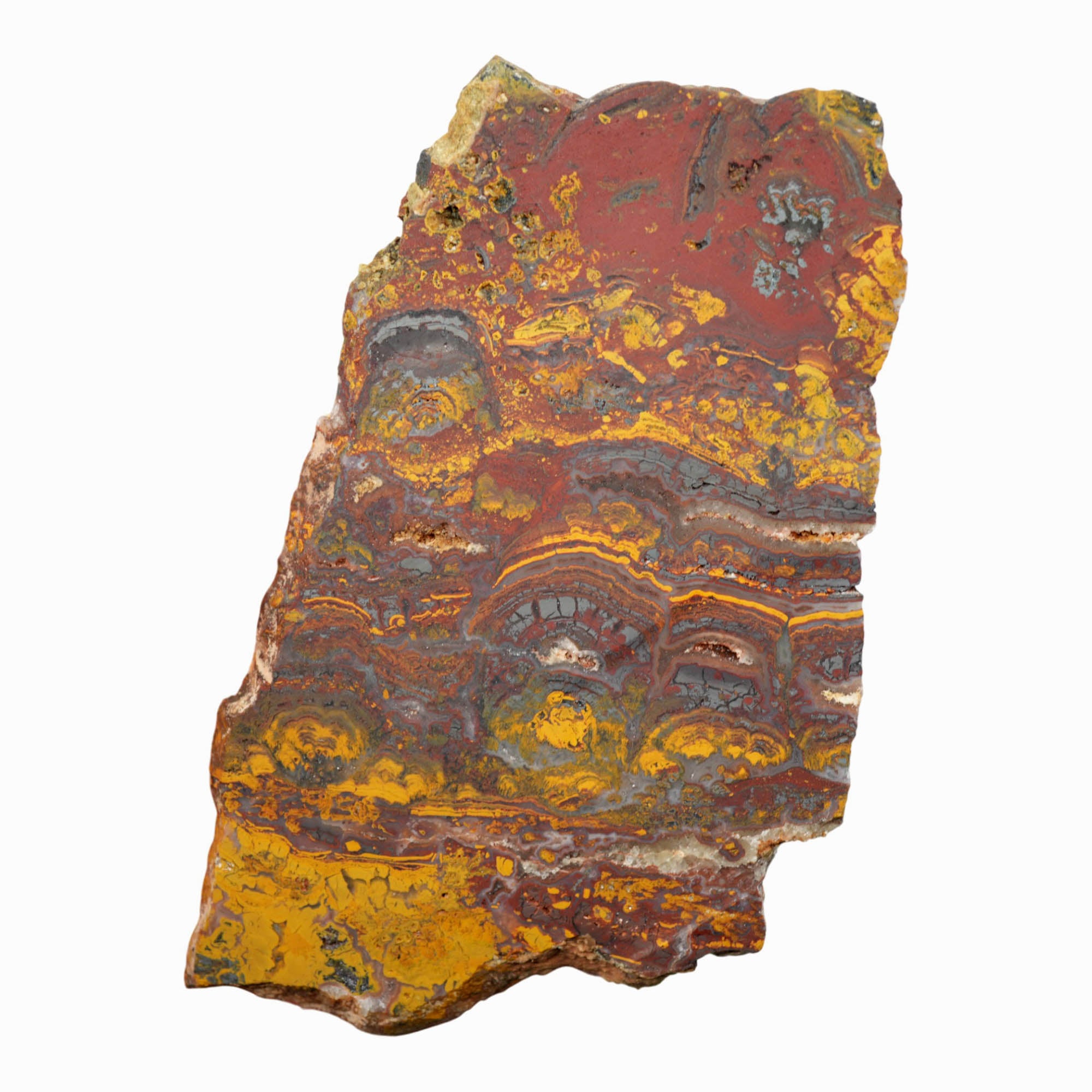 Apple Valley Jasper Slab Dry - Deep Red Hematite Flowers Stromatolite #3929-7