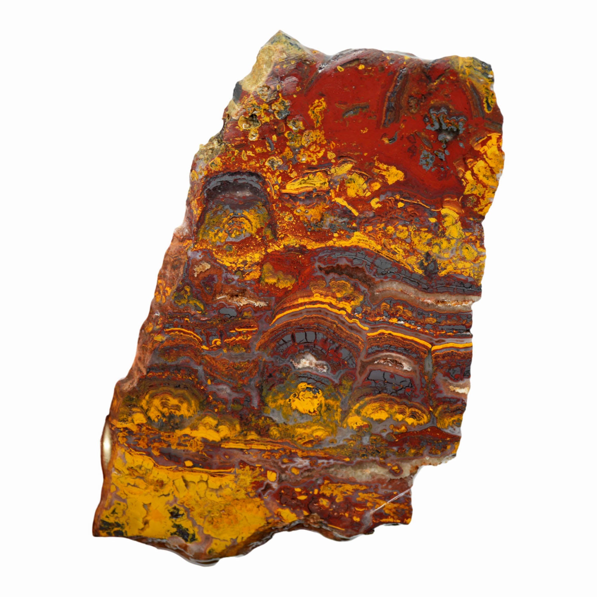 Apple Valley Jasper Slab - Deep Red Hematite Flowers Stromatolite #3929-2