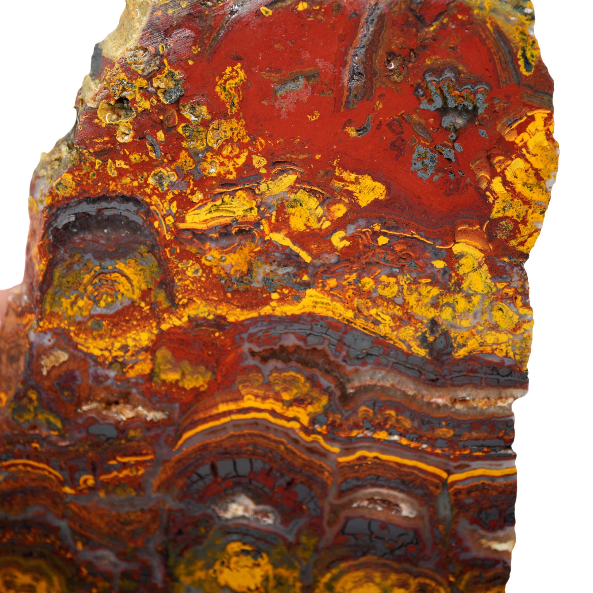 Apple Valley Jasper Slab - Deep Red Hematite Flowers Stromatolite #3929-4