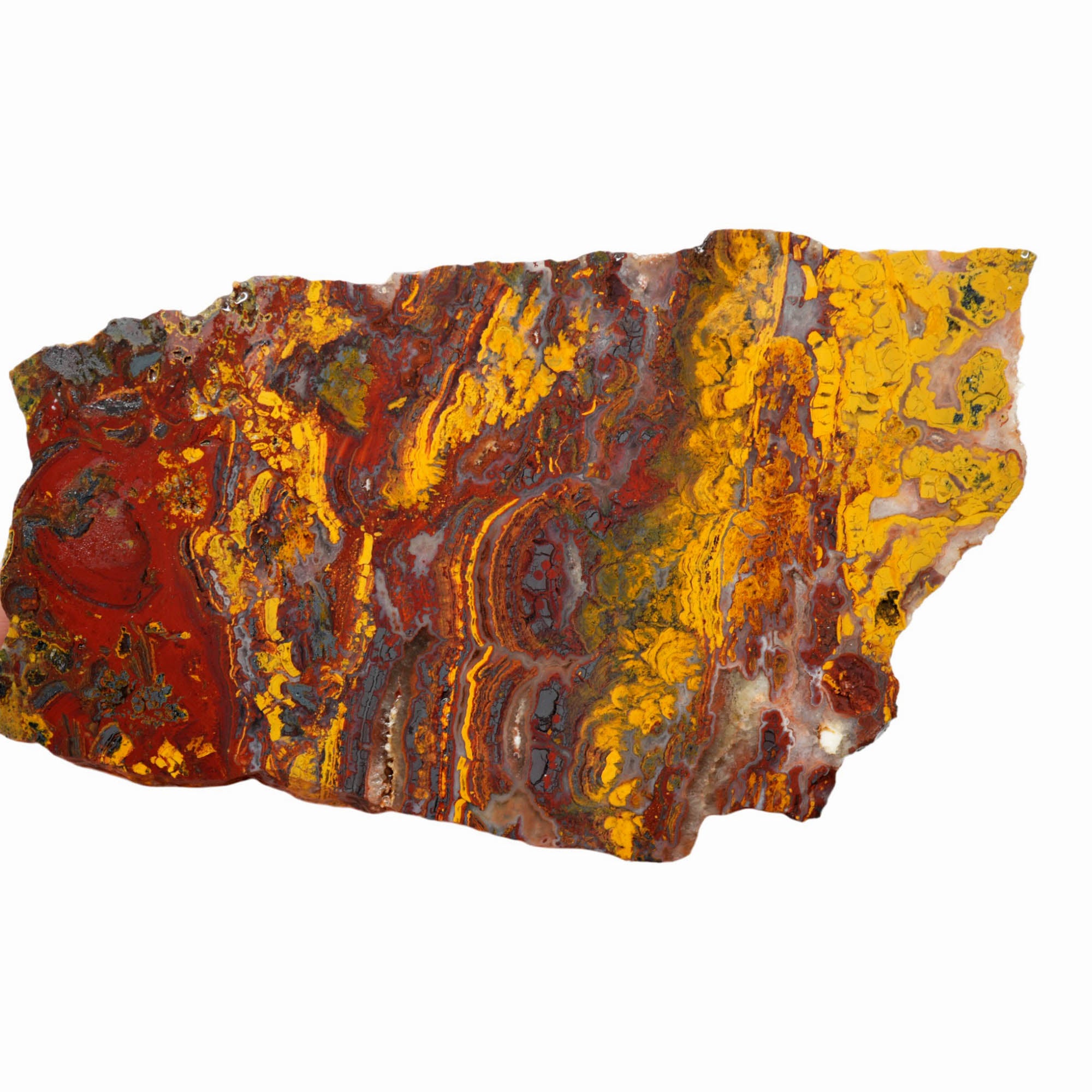 Apple Valley Jasper Slab - Deep Red Hematite Flowers Stromatolite #3929-5