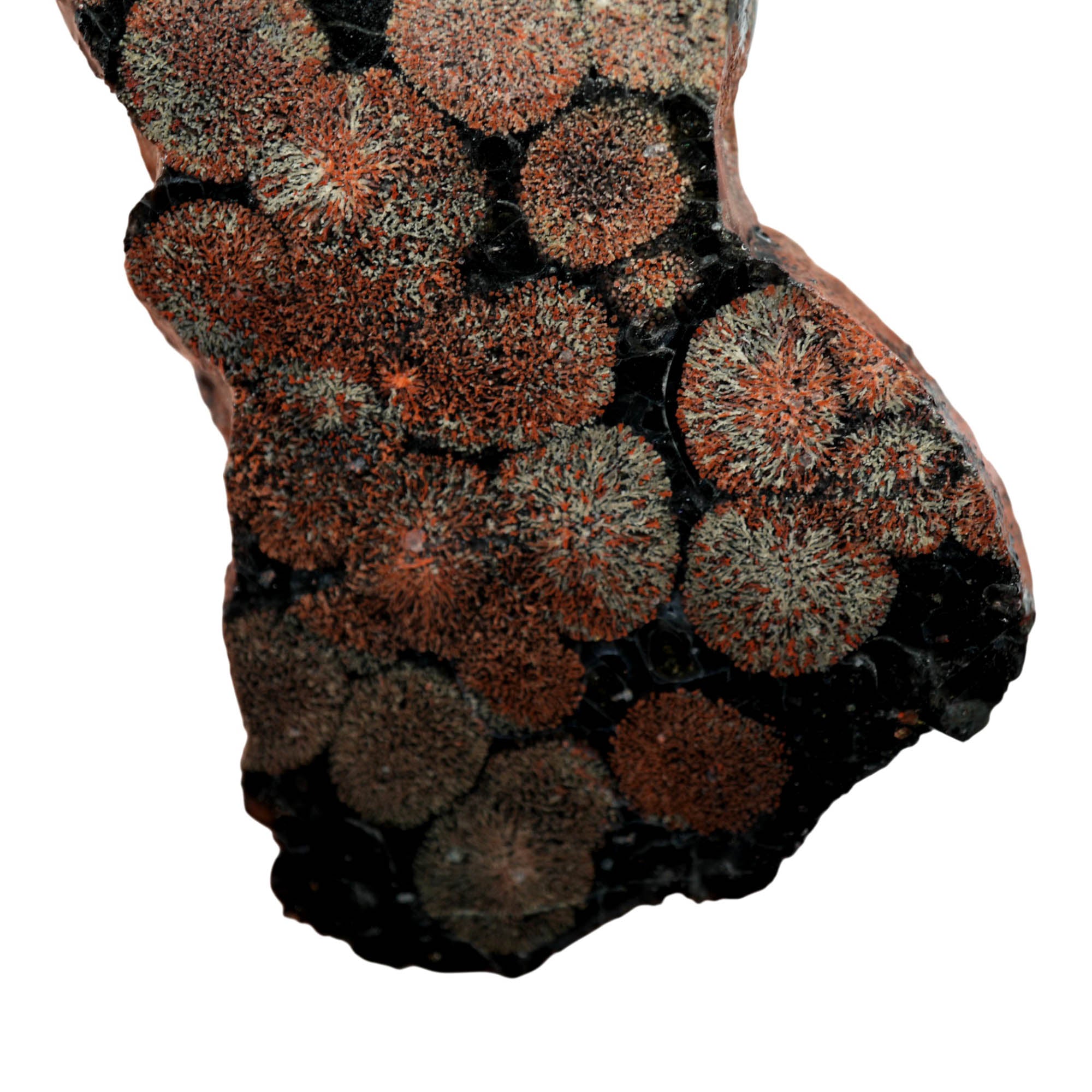 Flower Obsidian Slab – Pretty Flower Pattern Mexican Volcanic Glass #3931-Photo3