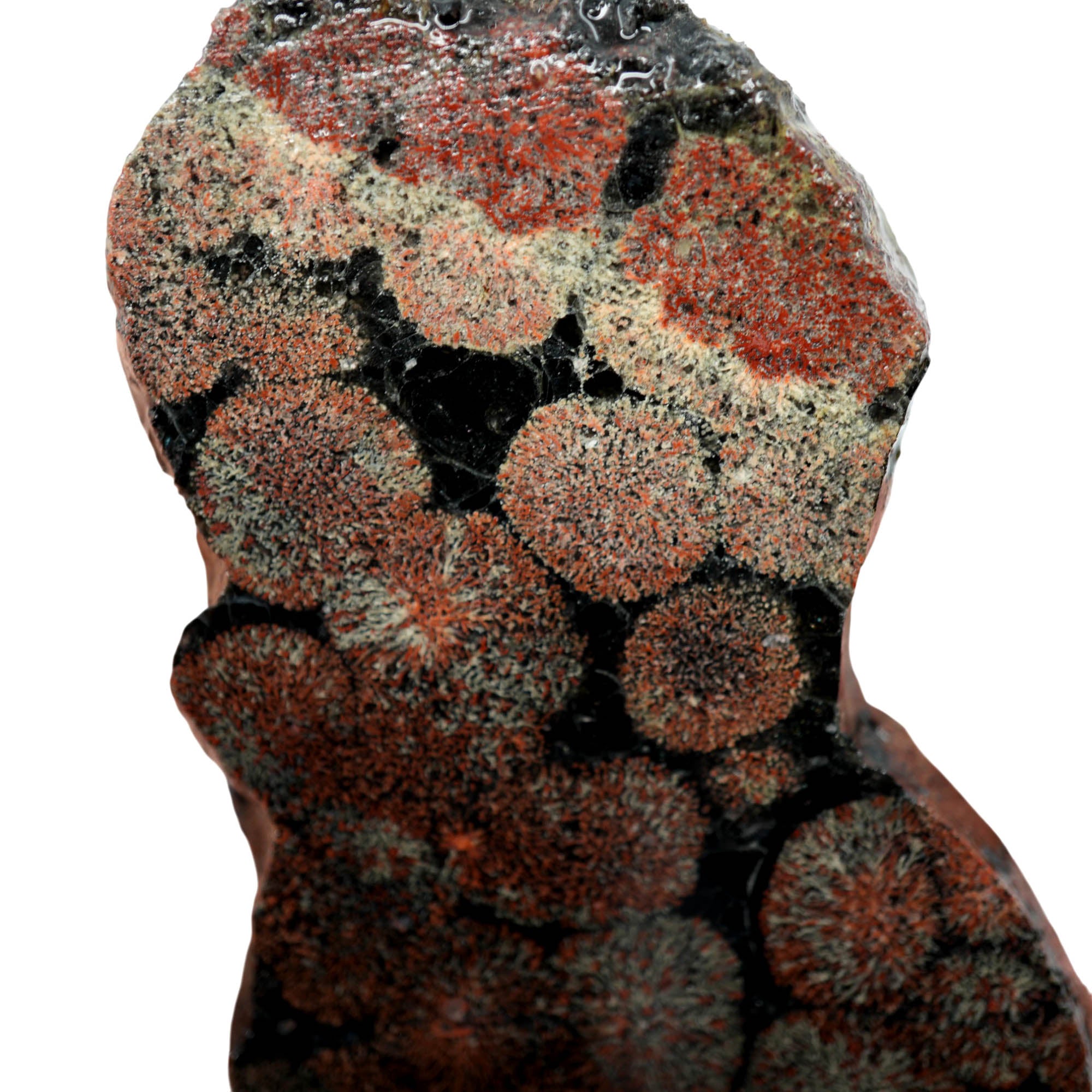 Flower Obsidian Slab – Pretty Flower Pattern Mexican Volcanic Glass #3931-Photo1