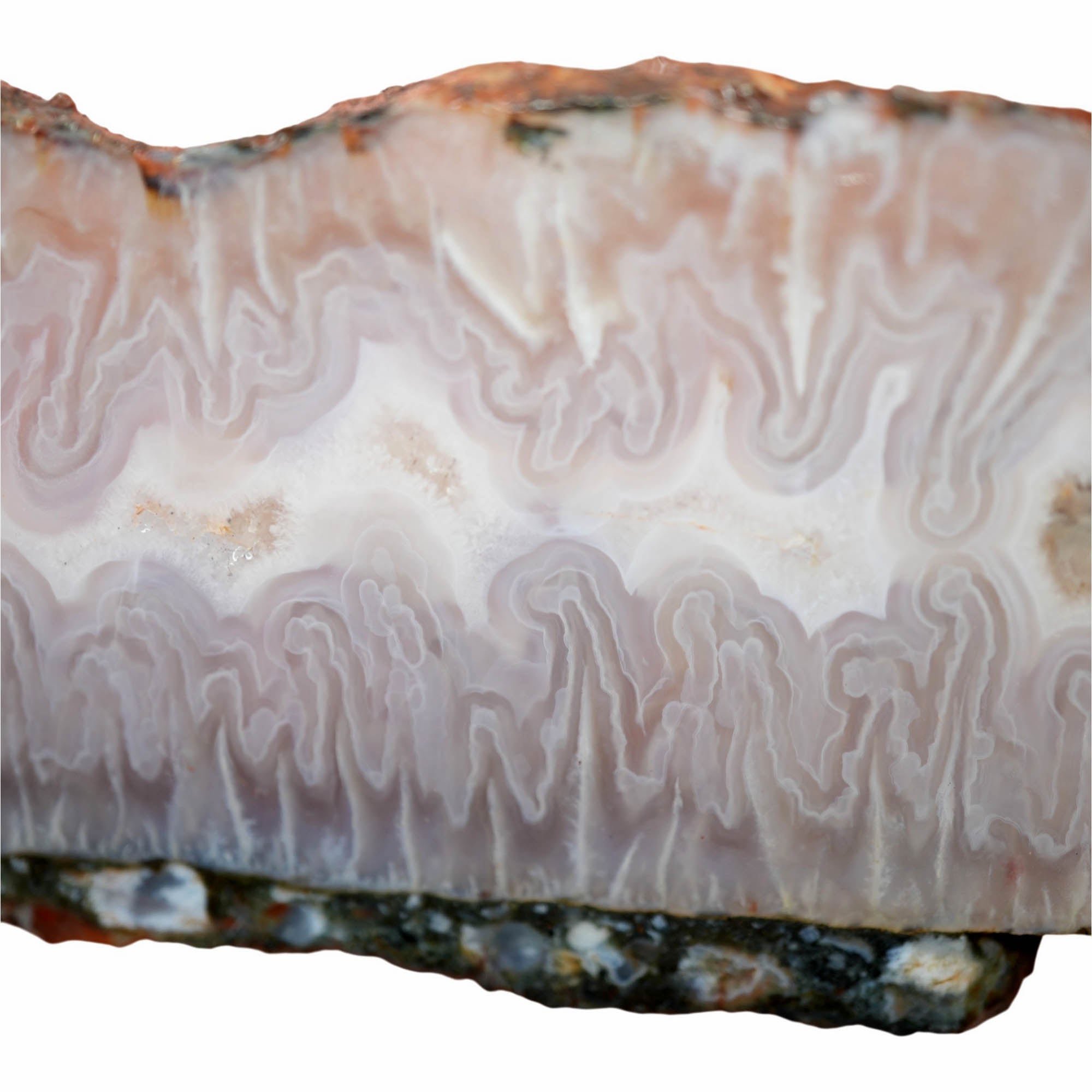 Ghost Seam Agate Slab – Ethereal Blue Fortification Pattern! #3932-Photo1
