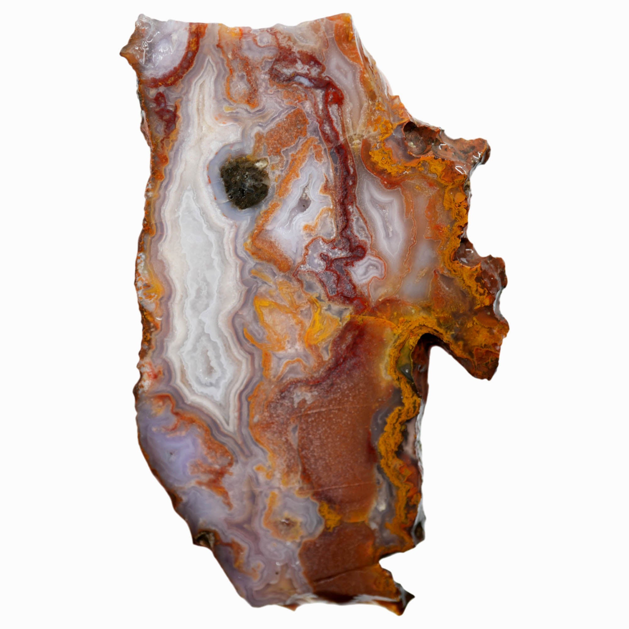 Agua Nueva Agate Slab – Purple Fortification Moss Drusy Mexican #3934-Photo4