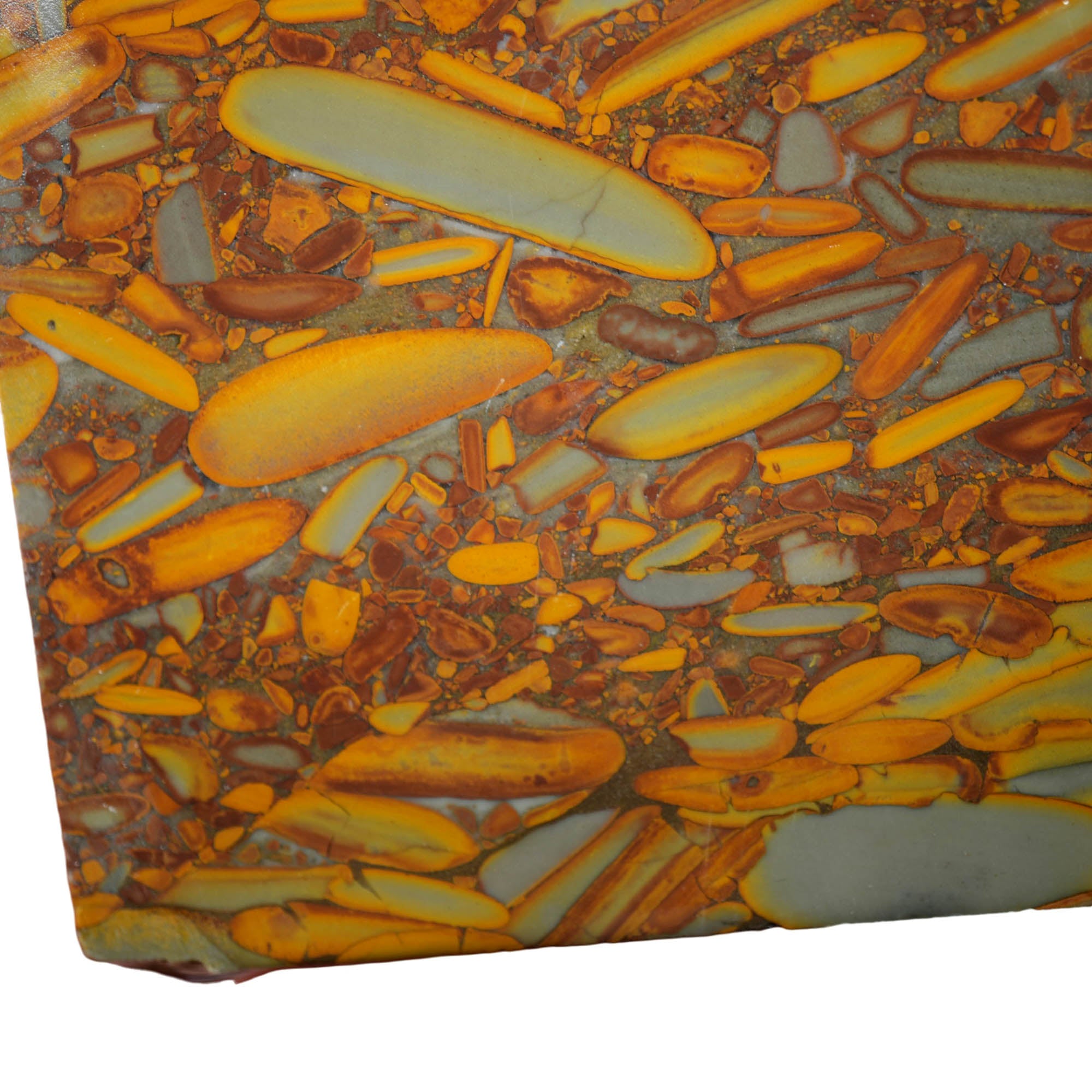 Bamboo Jasper Slab – Distinctive Bamboo Pattern Indonesian Conglomerate #3936-Photo3
