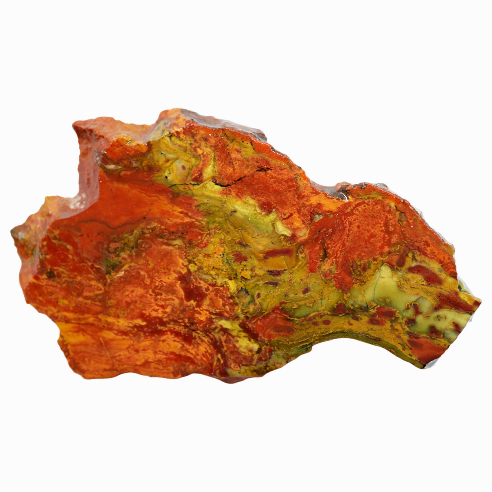 Kaleidoscope Jasper Slab Dragon Green Fire Red Oregon Rare #3946-Photo1