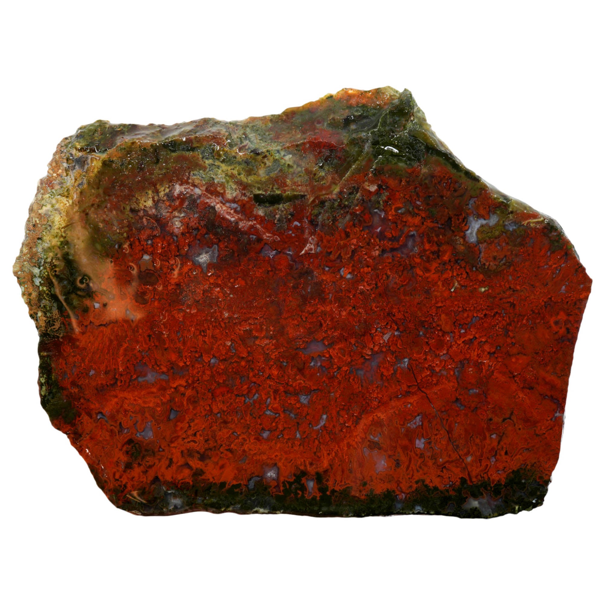Red Lightning Agate Slab – Bright Red Flaming Moss High Contrast! #3953-Photo1