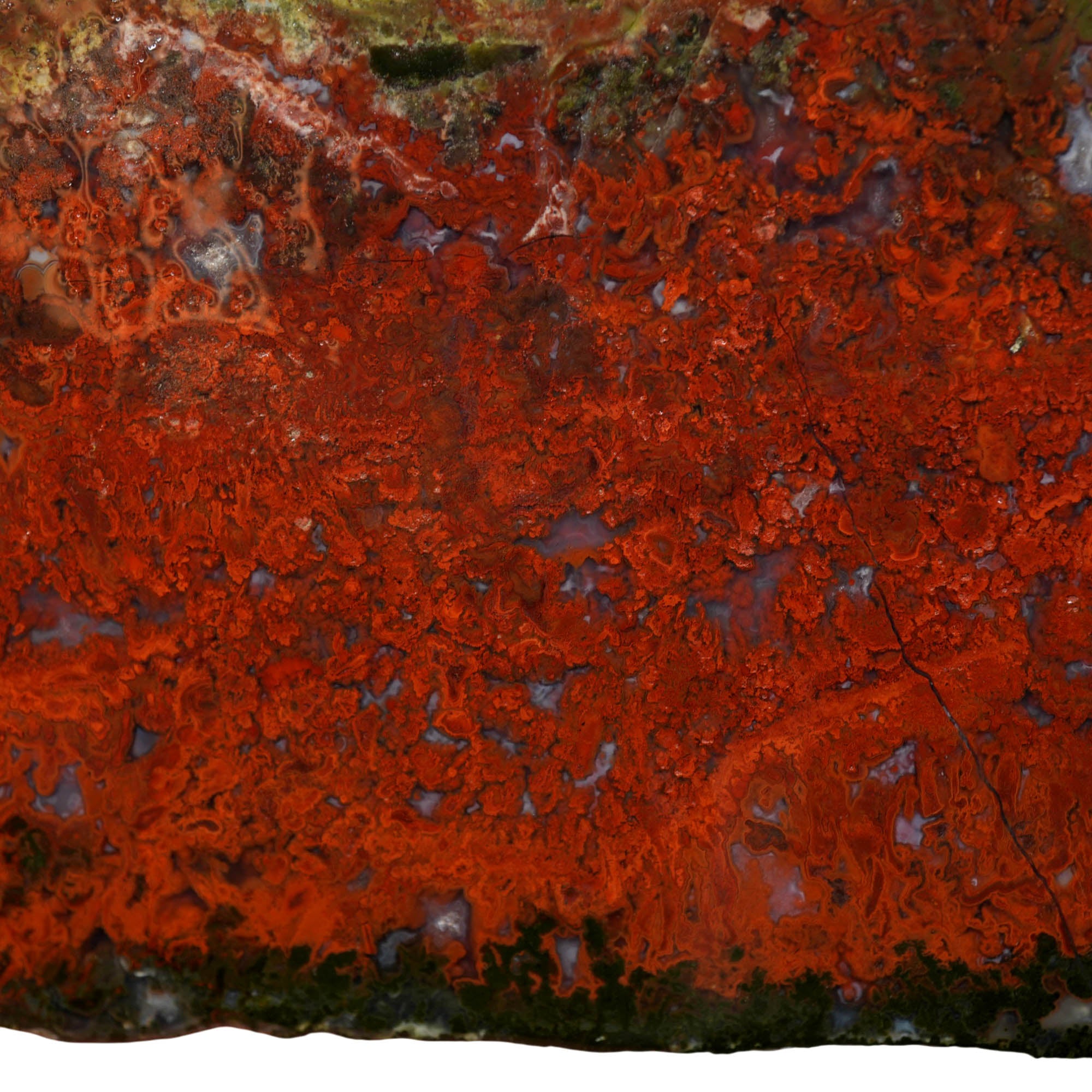 Red Lightning Agate Slab – Bright Red Flaming Moss High Contrast! #3953-Photo2