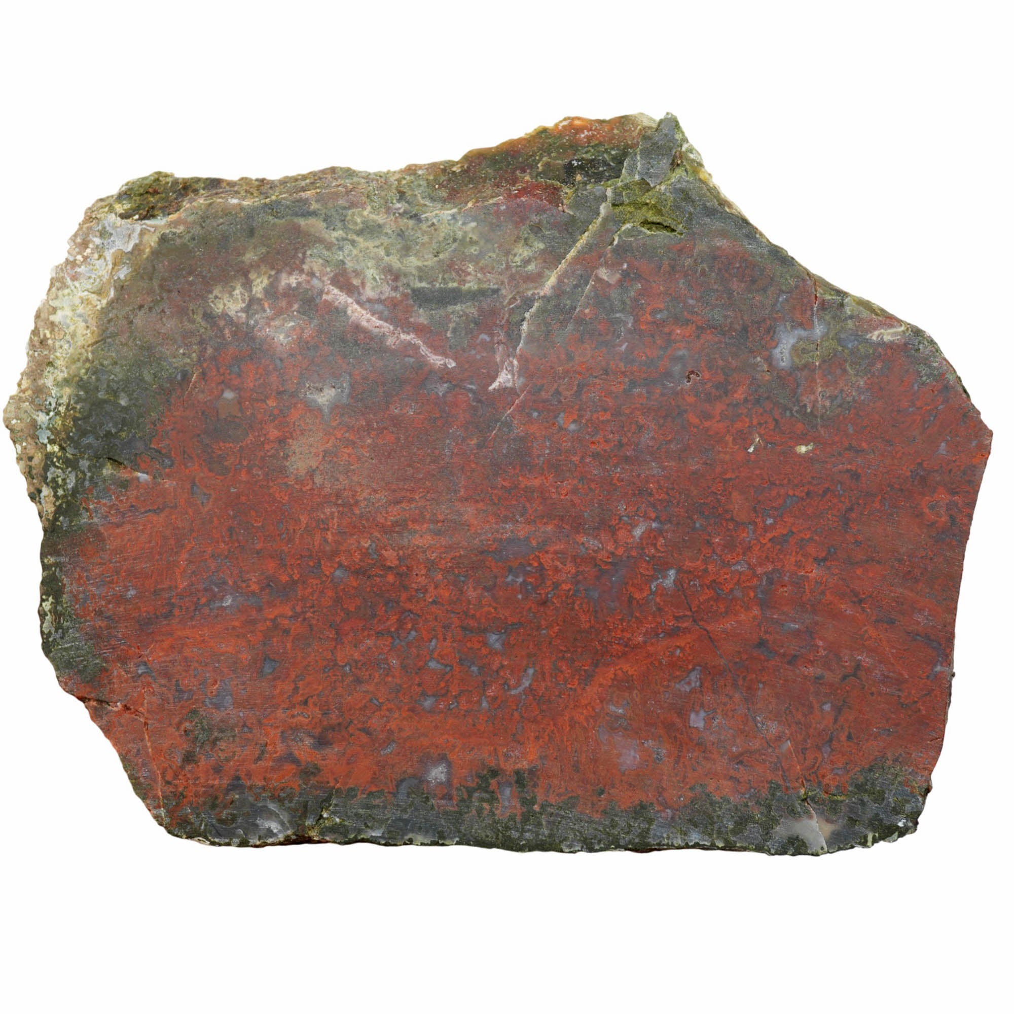 Red Lightning Agate Slab Dry – Bright Red Flaming Moss High Contrast! #3953-Photo4