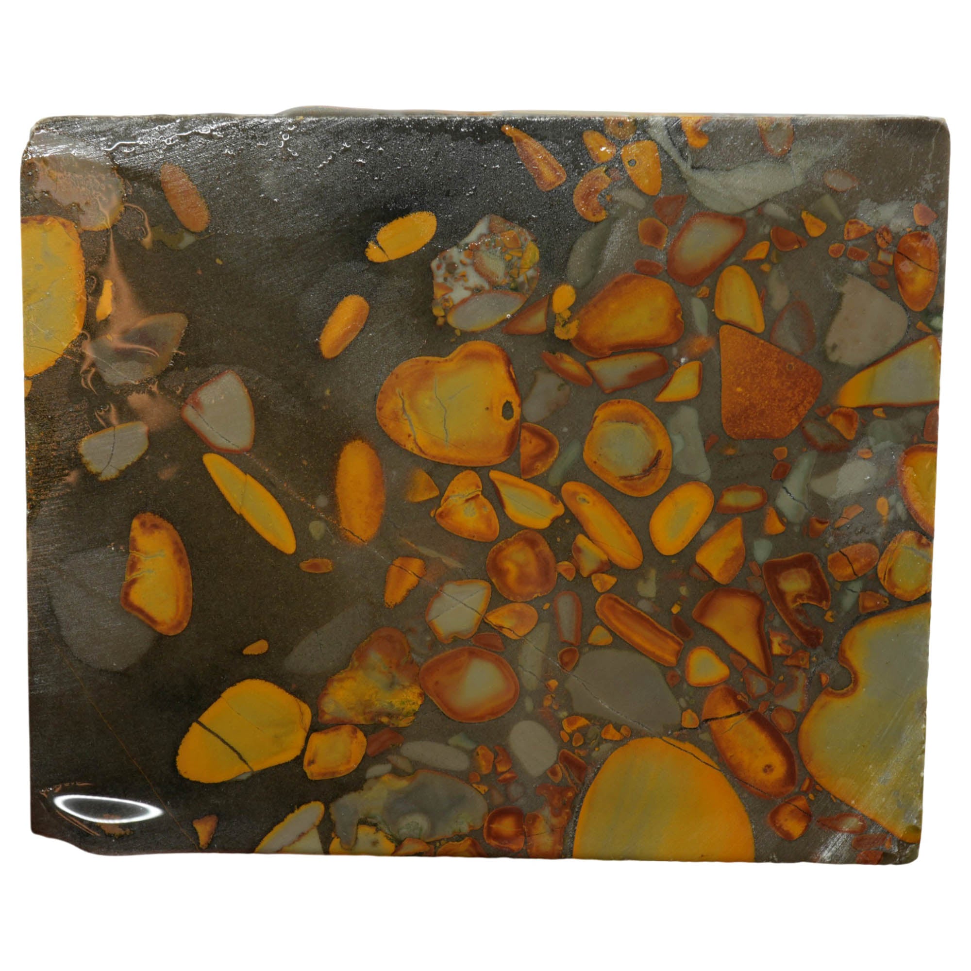 Bamboo Jasper Slab - Captivating Conglomerate Pattern