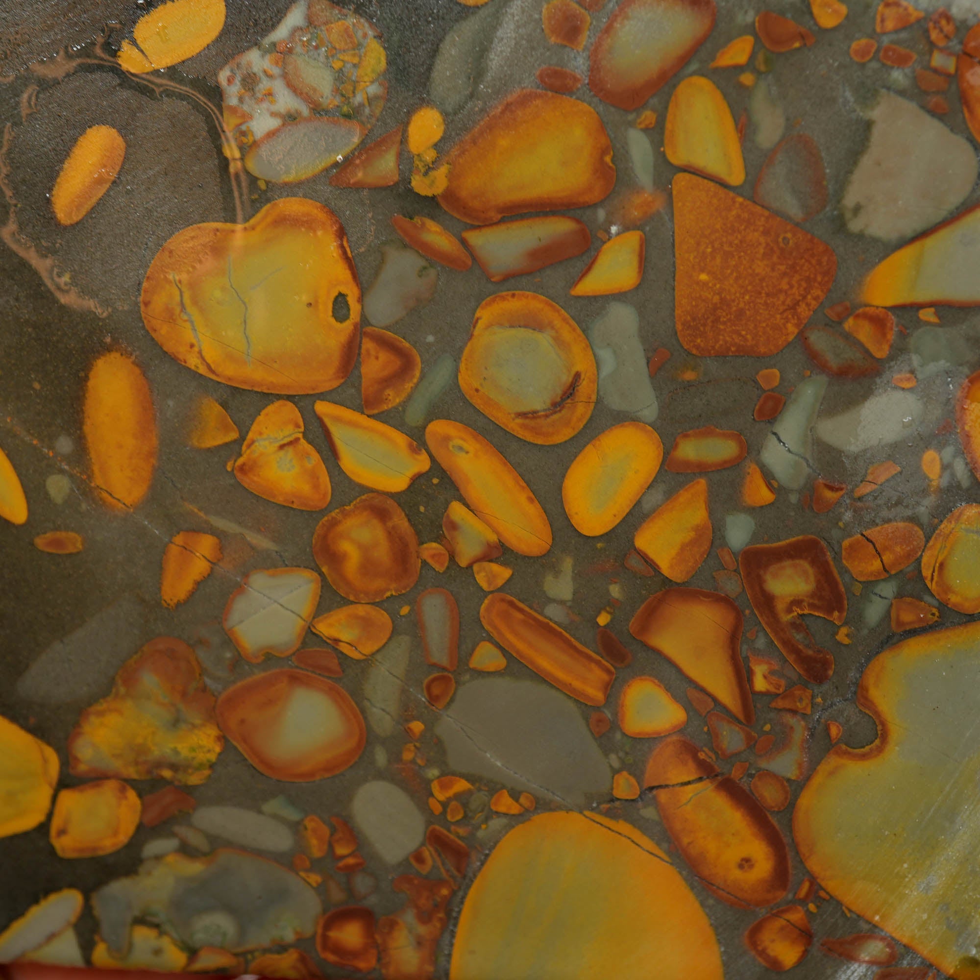 Bamboo Jasper Slab - Captivating Conglomerate Pattern Indonesian #3954-Photo2