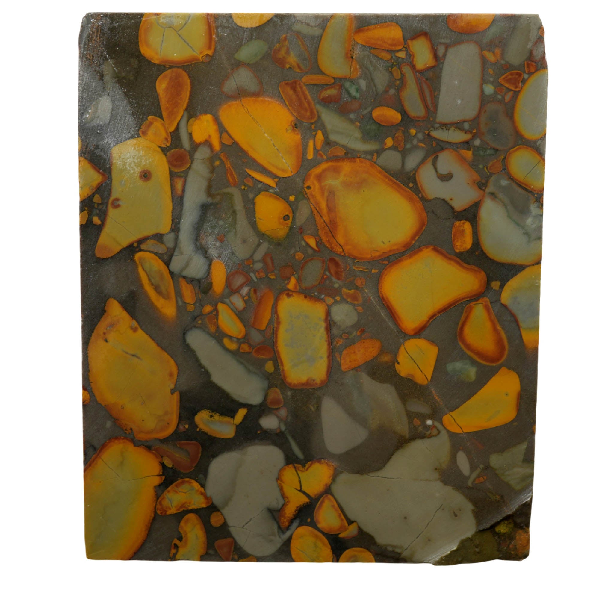 Bamboo Jasper Slab - Captivating Conglomerate Pattern Indonesian #3954-Photo3