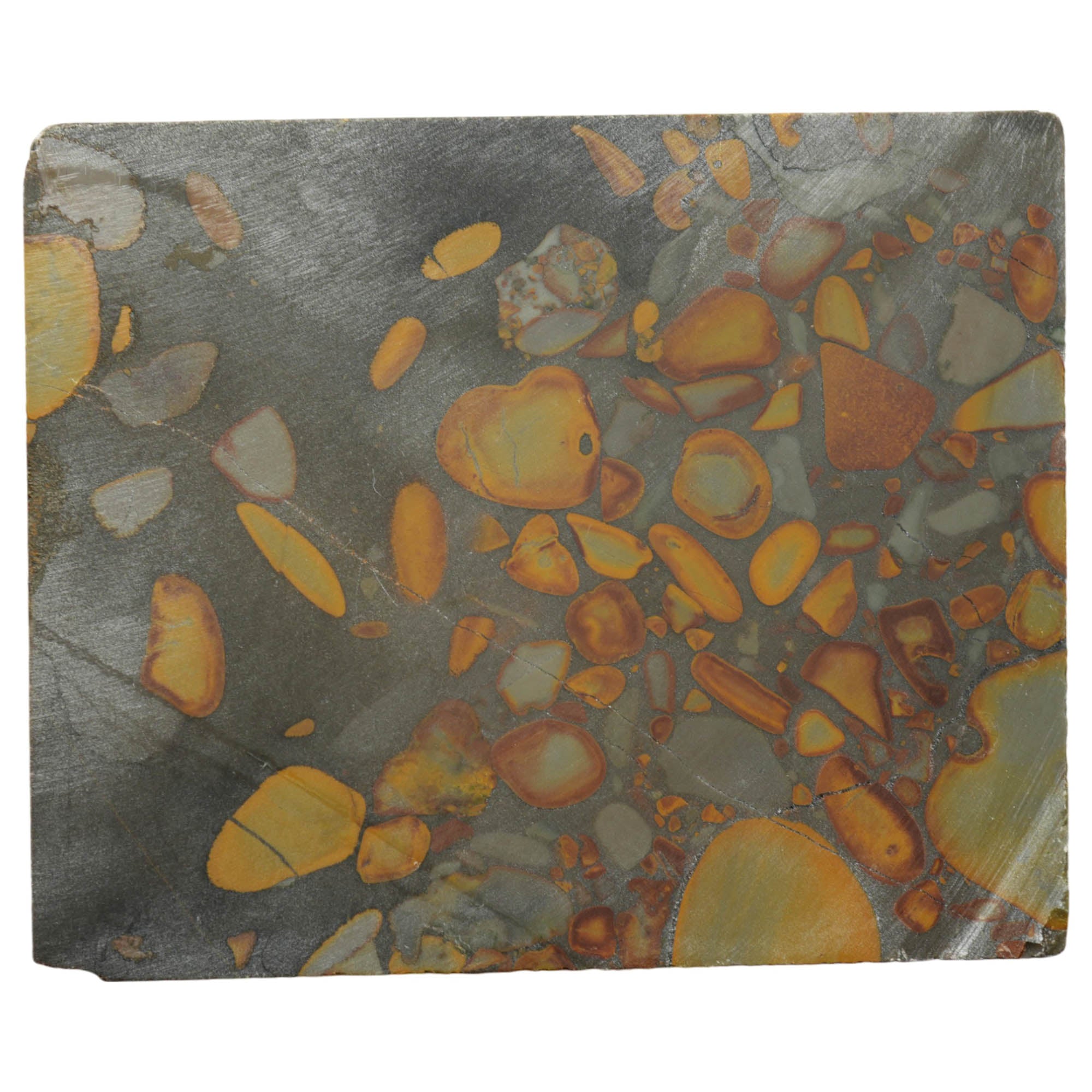 Bamboo Jasper Slab Dry - Captivating Conglomerate Pattern Indonesian #3954-Photo5