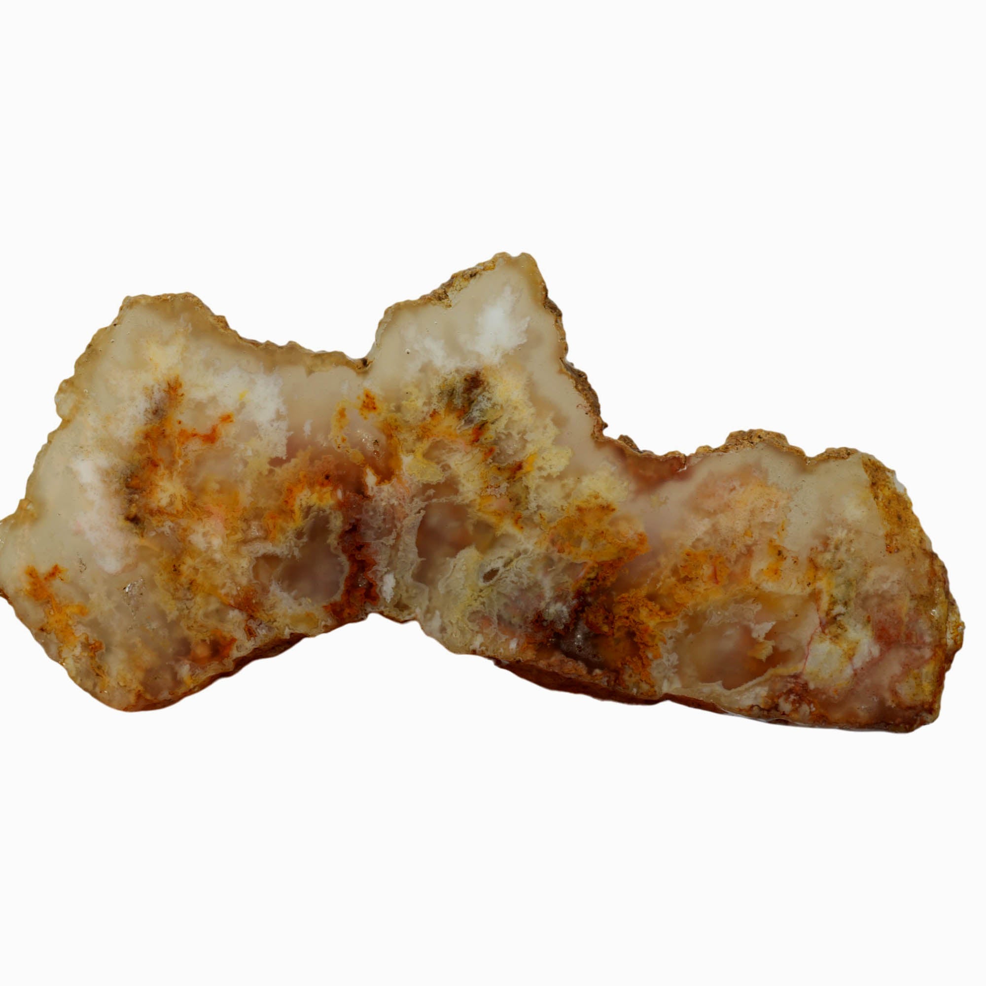 Regency Rose Plume Agate Slab - Cloudy Red Plumes Oregon Graveyard #3956-Photo1