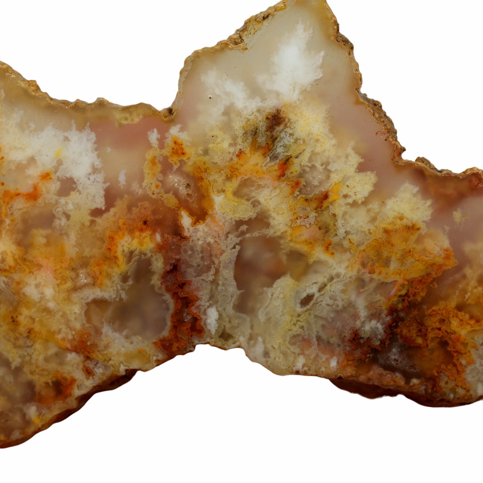 Regency Rose Plume Agate Slab - Cloudy Red Plumes Oregon Graveyard #3956-Photo2