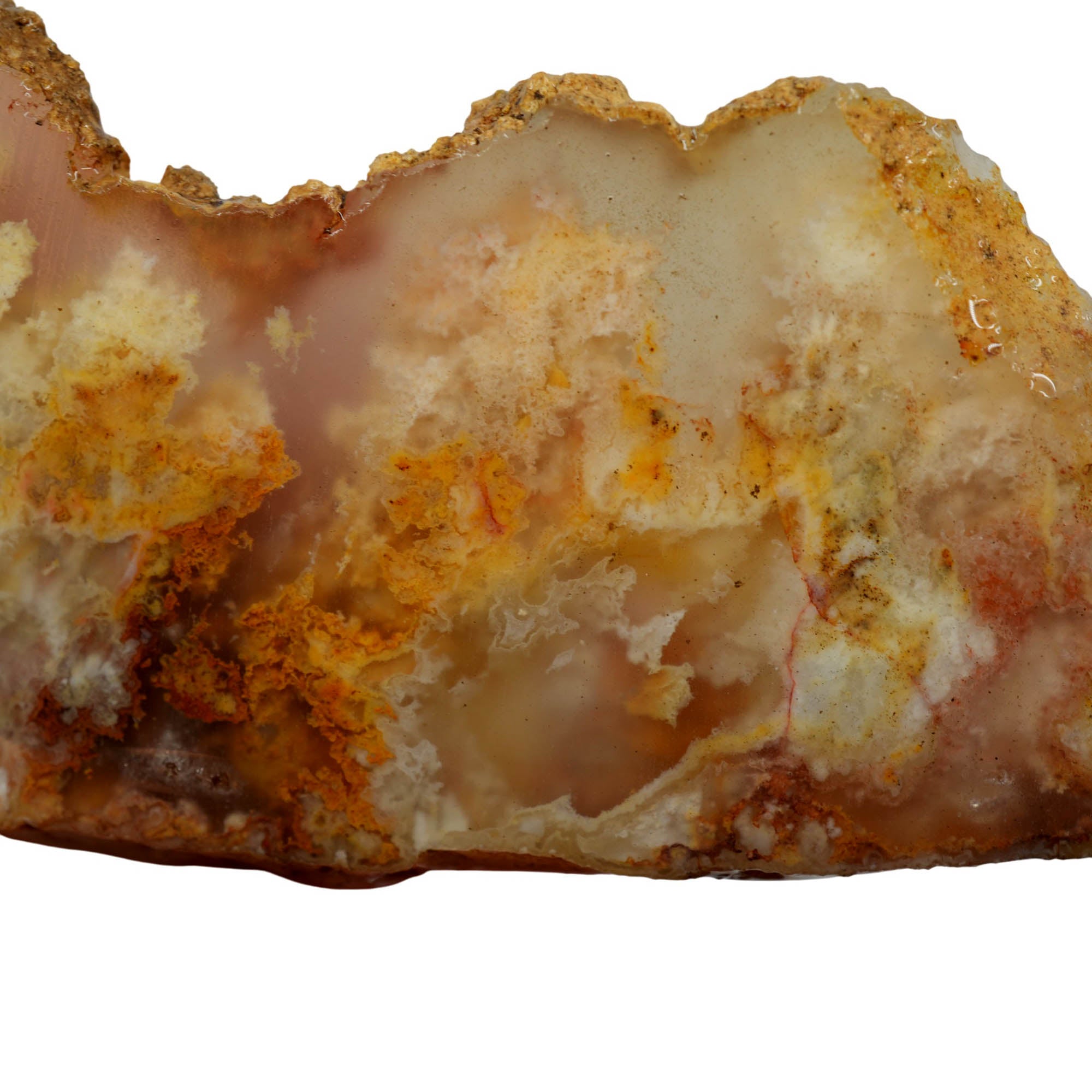 Regency Rose Plume Agate Slab - Cloudy Red Plumes Oregon Graveyard #3956-Photo3