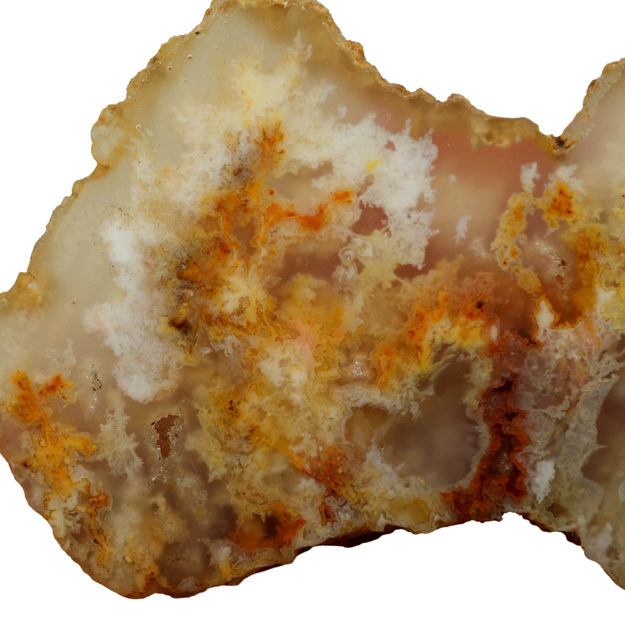 Regency Rose Plume Agate Slab - Cloudy Red Plumes Oregon Graveyard #3956-Photo4