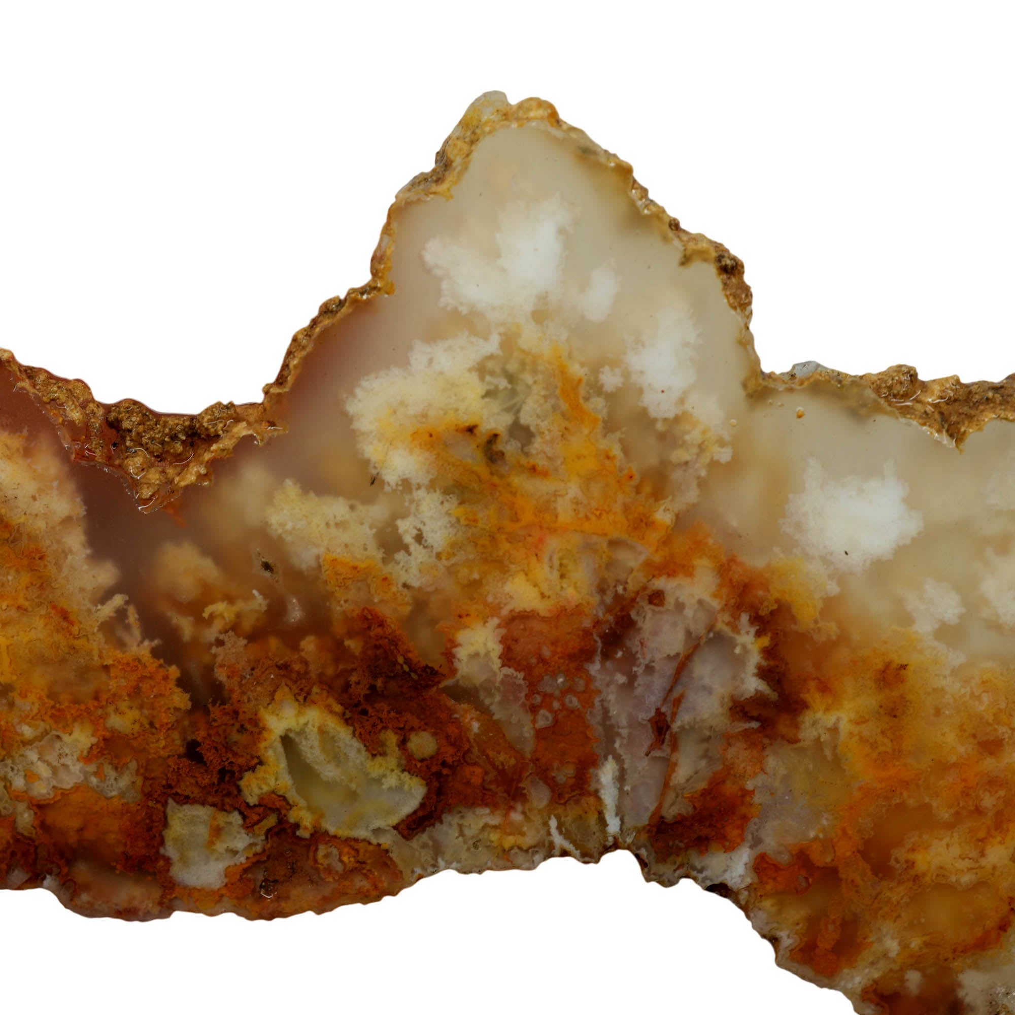 Regency Rose Plume Agate Slab - Cloudy Red Plumes Oregon Graveyard #3956-Photo6