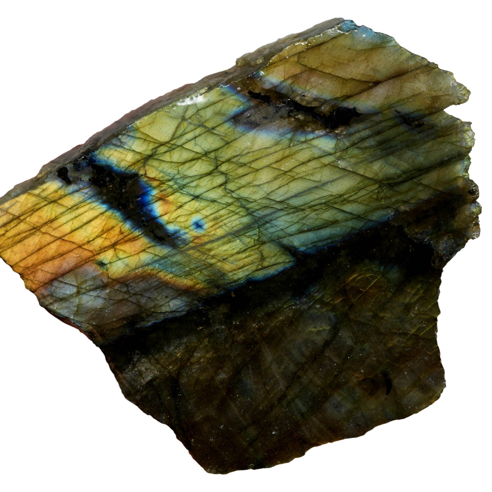 Labradorite Slab – Dual Bright Flash Fused Formation Specimen #3957-Photo3