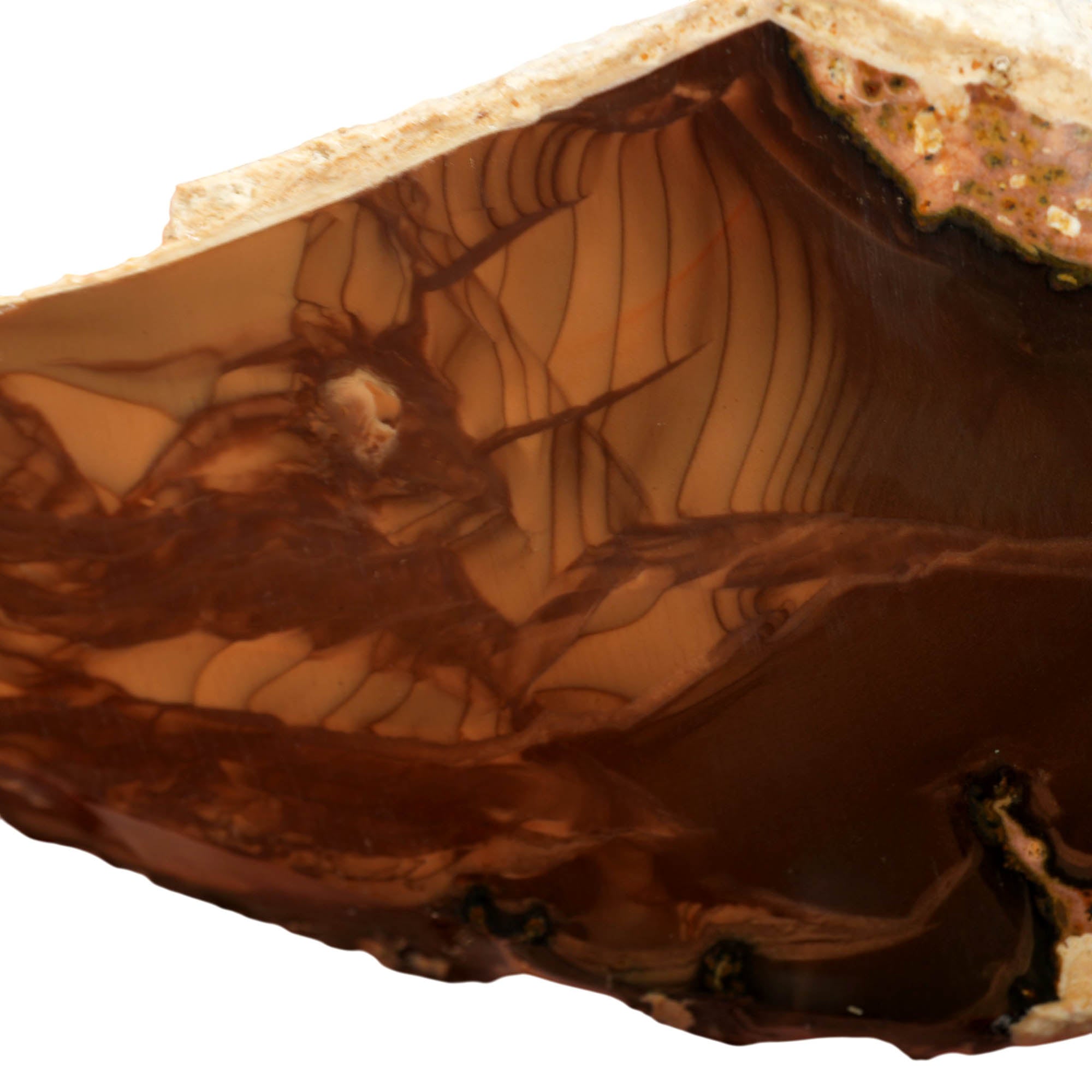 Whiskey Creek Jasper Slab – Ribbed Orbicular Pattern Idaho! #3960-Photo1