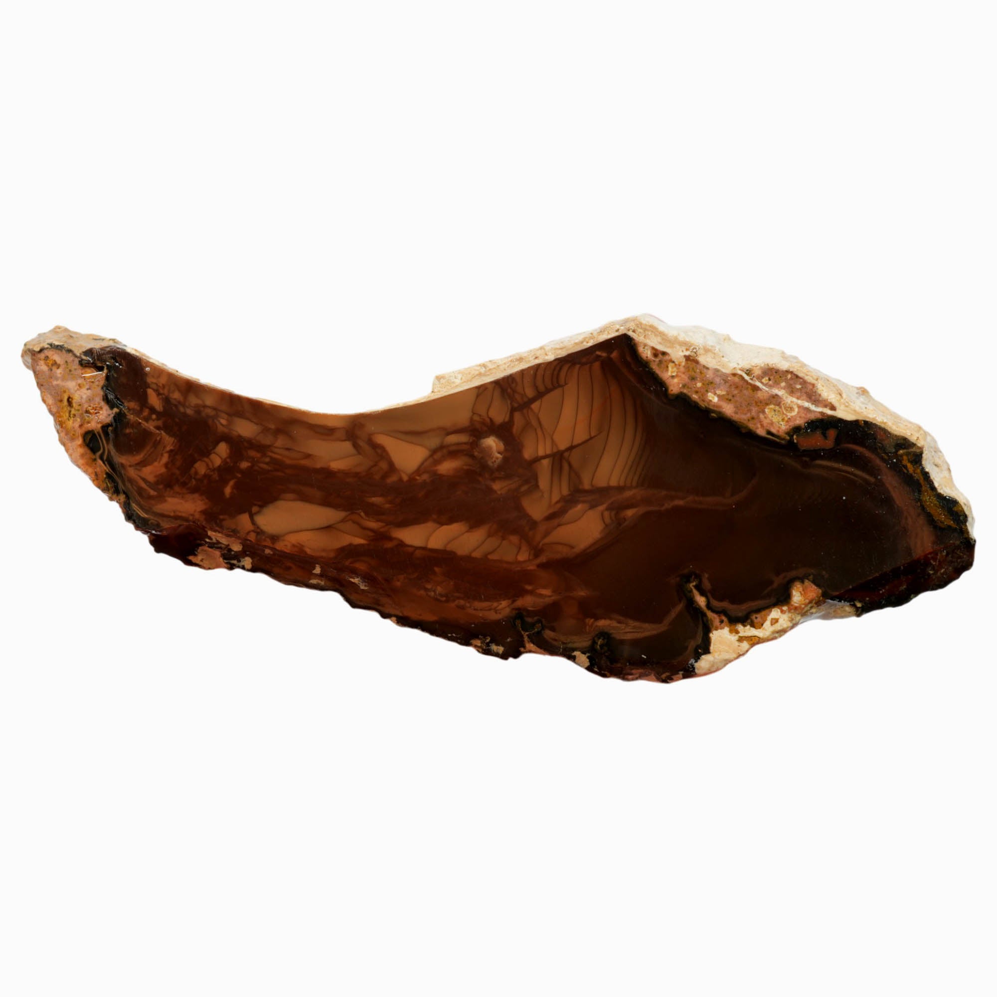 Whiskey Creek Jasper Slab – Ribbed Orbicular Pattern Idaho! #3960-Photo2