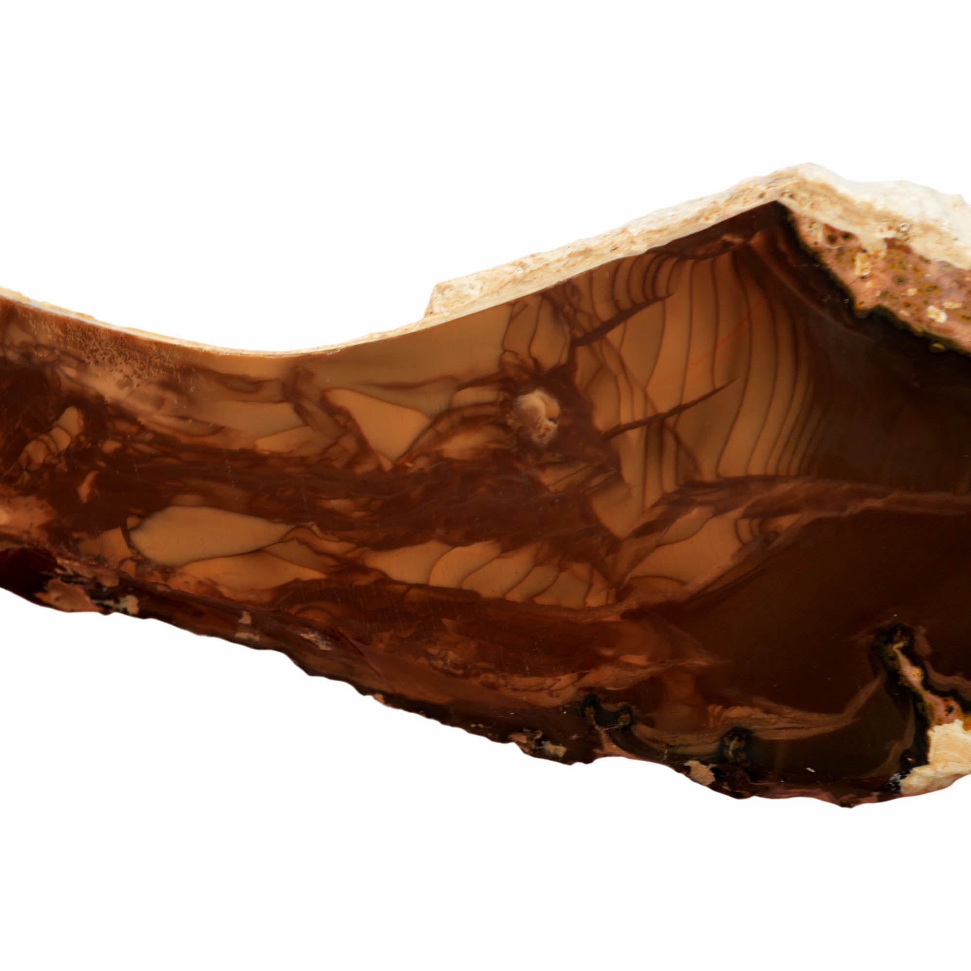 Whiskey Creek Jasper Slab – Ribbed Orbicular Pattern Idaho! #3960-Photo3