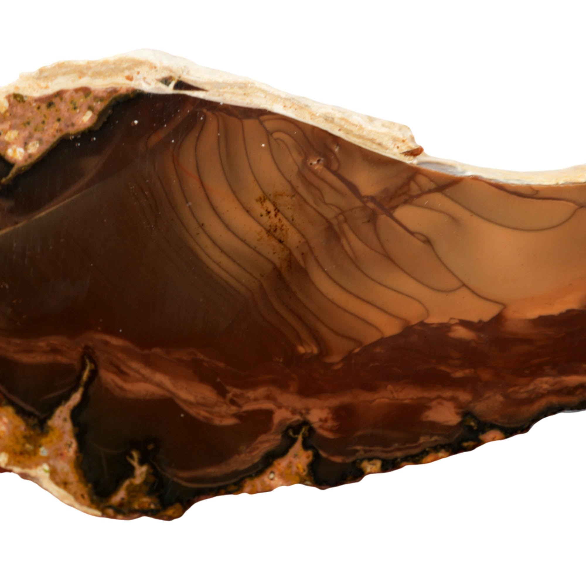 Whiskey Creek Jasper Slab – Ribbed Orbicular Pattern Idaho! #3960-Photo5