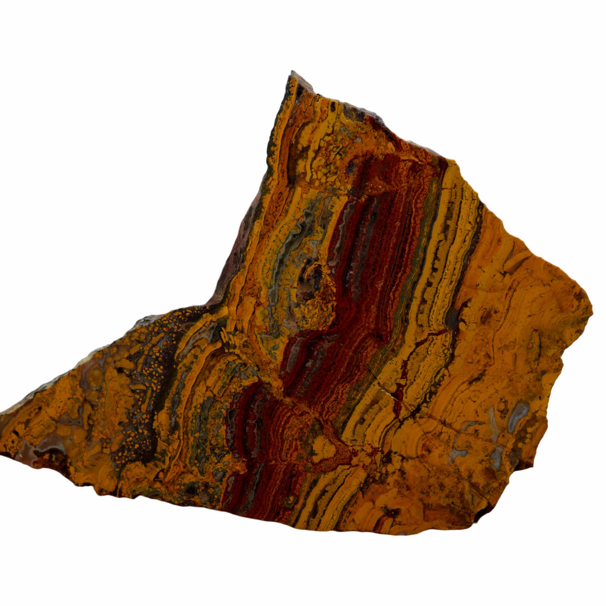 Apple Valley Jasper Slab - Red Flowering Hematite Stromatolites Sahara #3961-Photo5