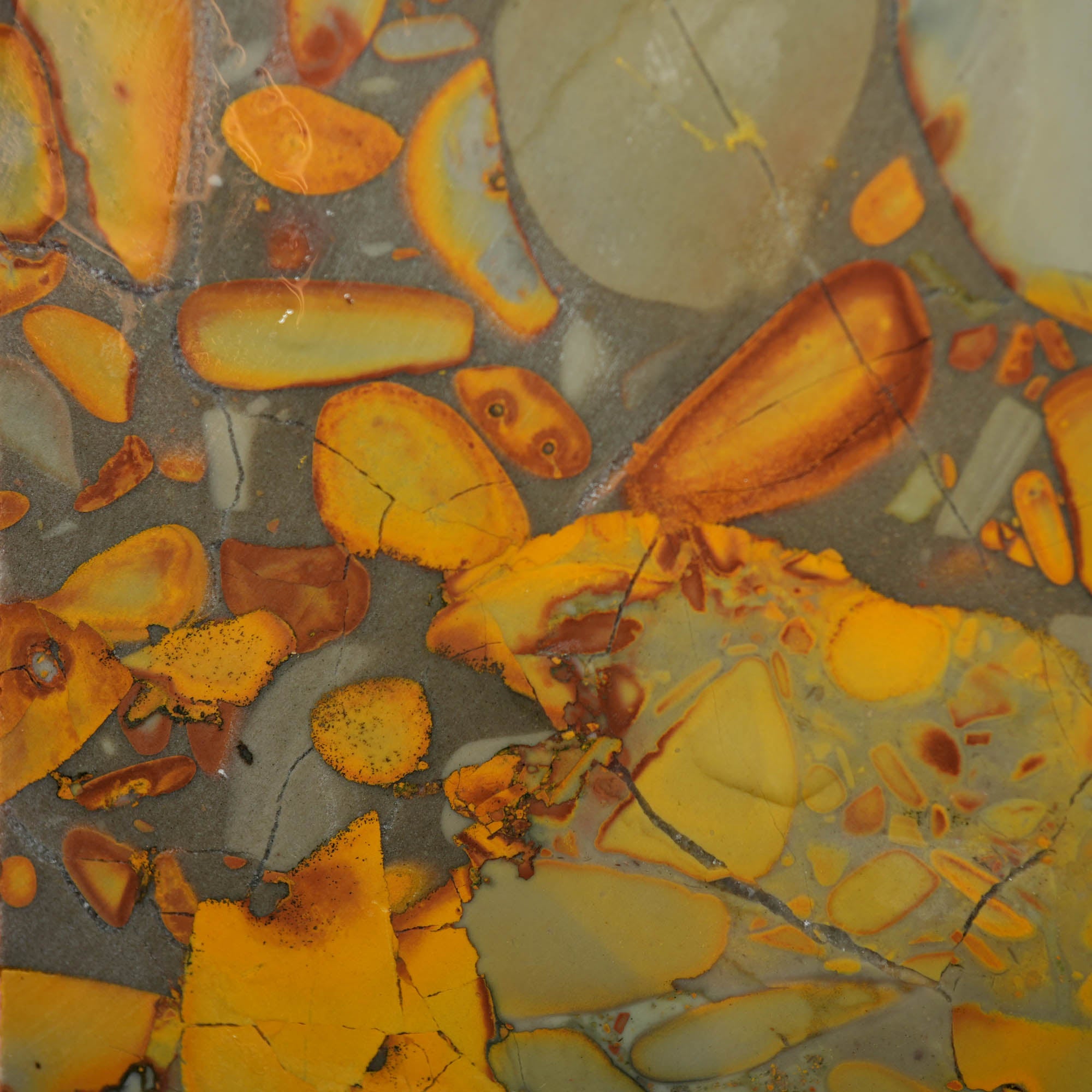 Bamboo Jasper Slab – High-Contrast Conglomerate Orb Pattern Indonesia #3963-Photo4